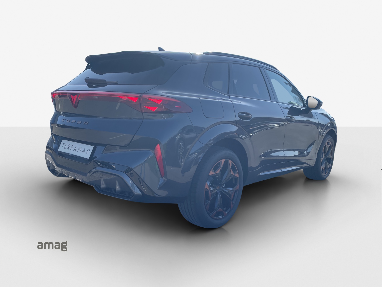 CUPRA Terramar 1.5 eTSI Prime Edition DSG-image-4