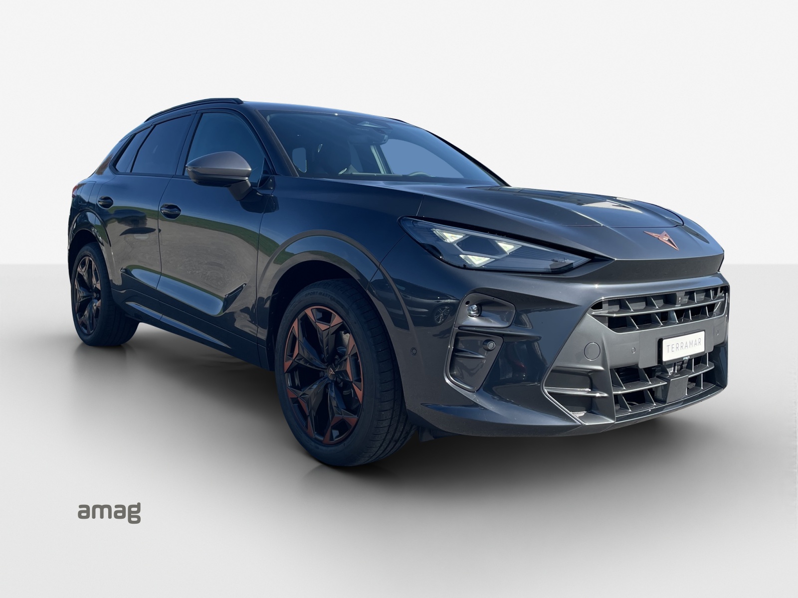 CUPRA Terramar 1.5 eTSI Prime Edition DSG-image-5