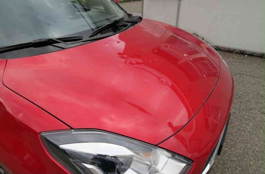 SUZUKI Compact Top-image-1