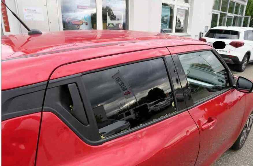 SUZUKI Compact Top-image-2