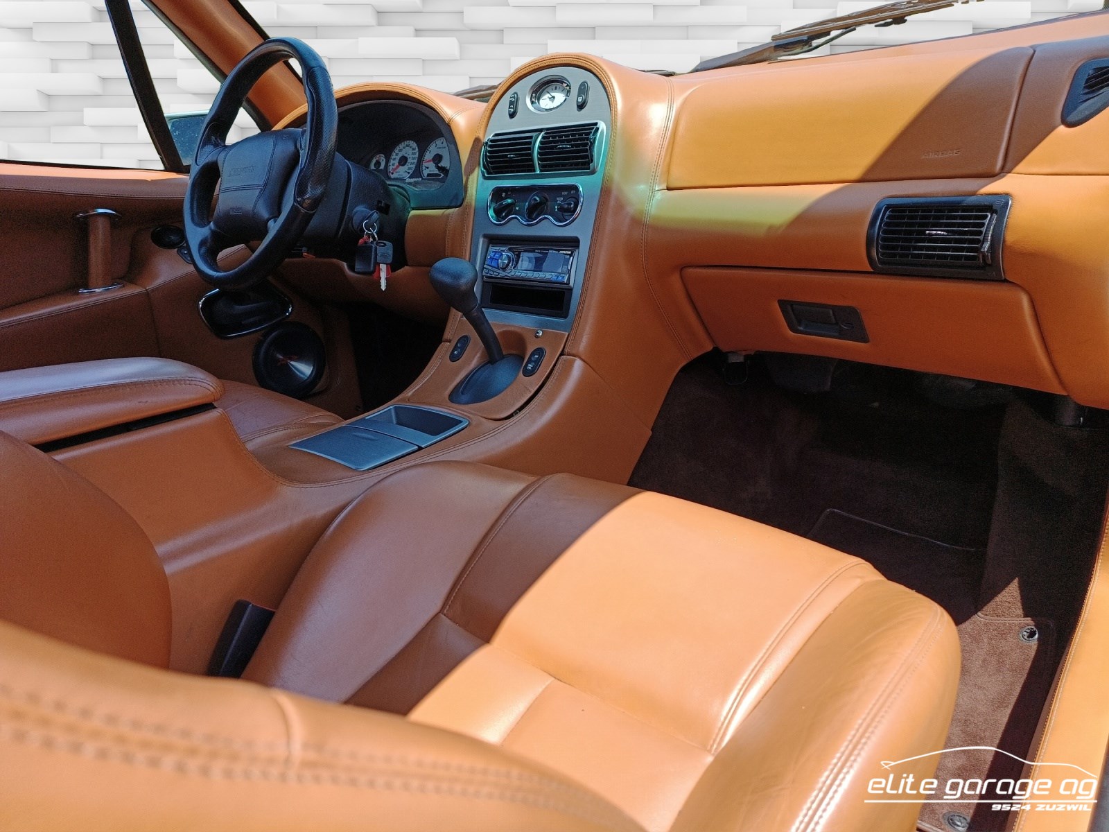QVALE Mangusta-image-11
