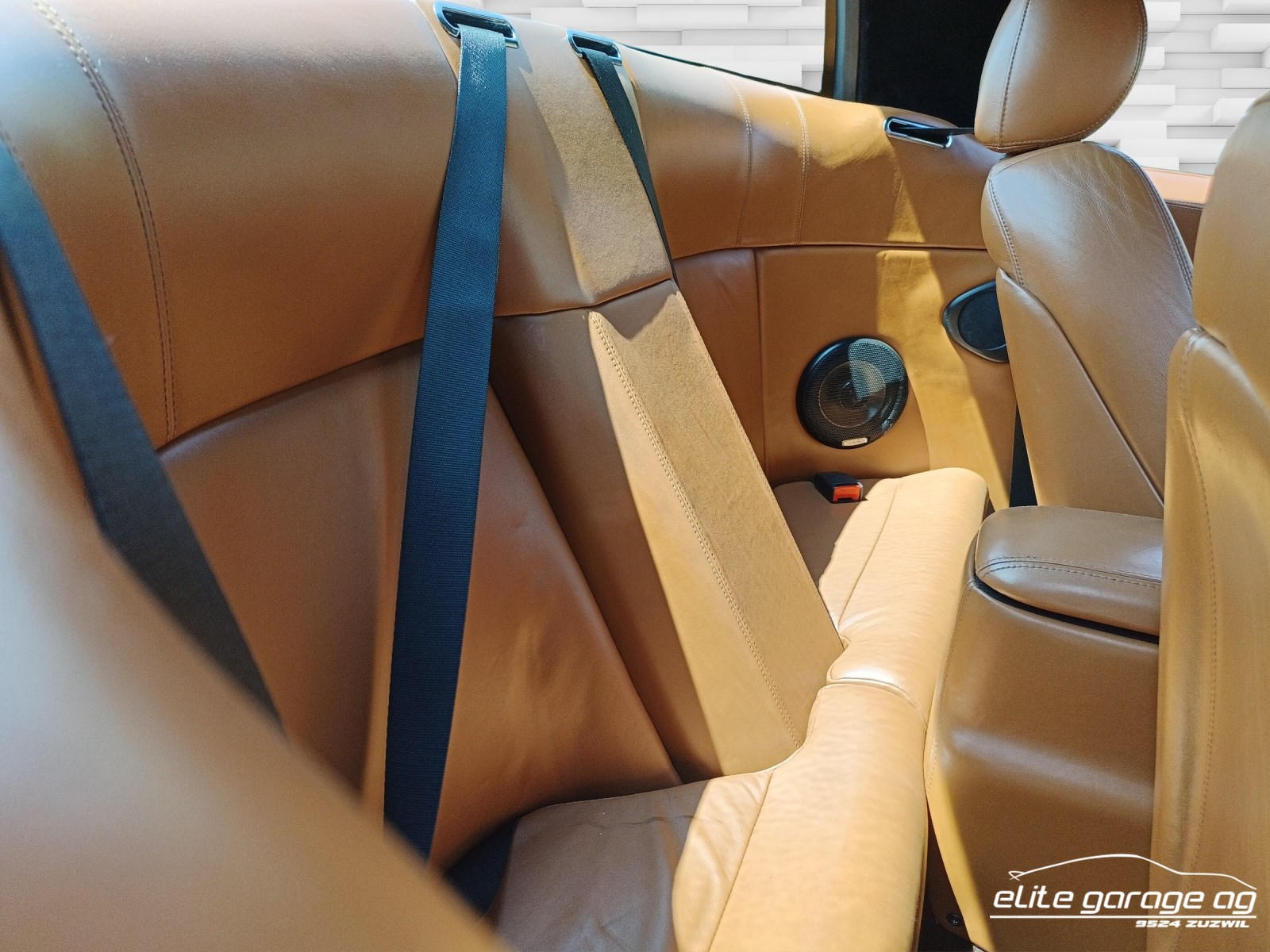 QVALE Mangusta-image-13