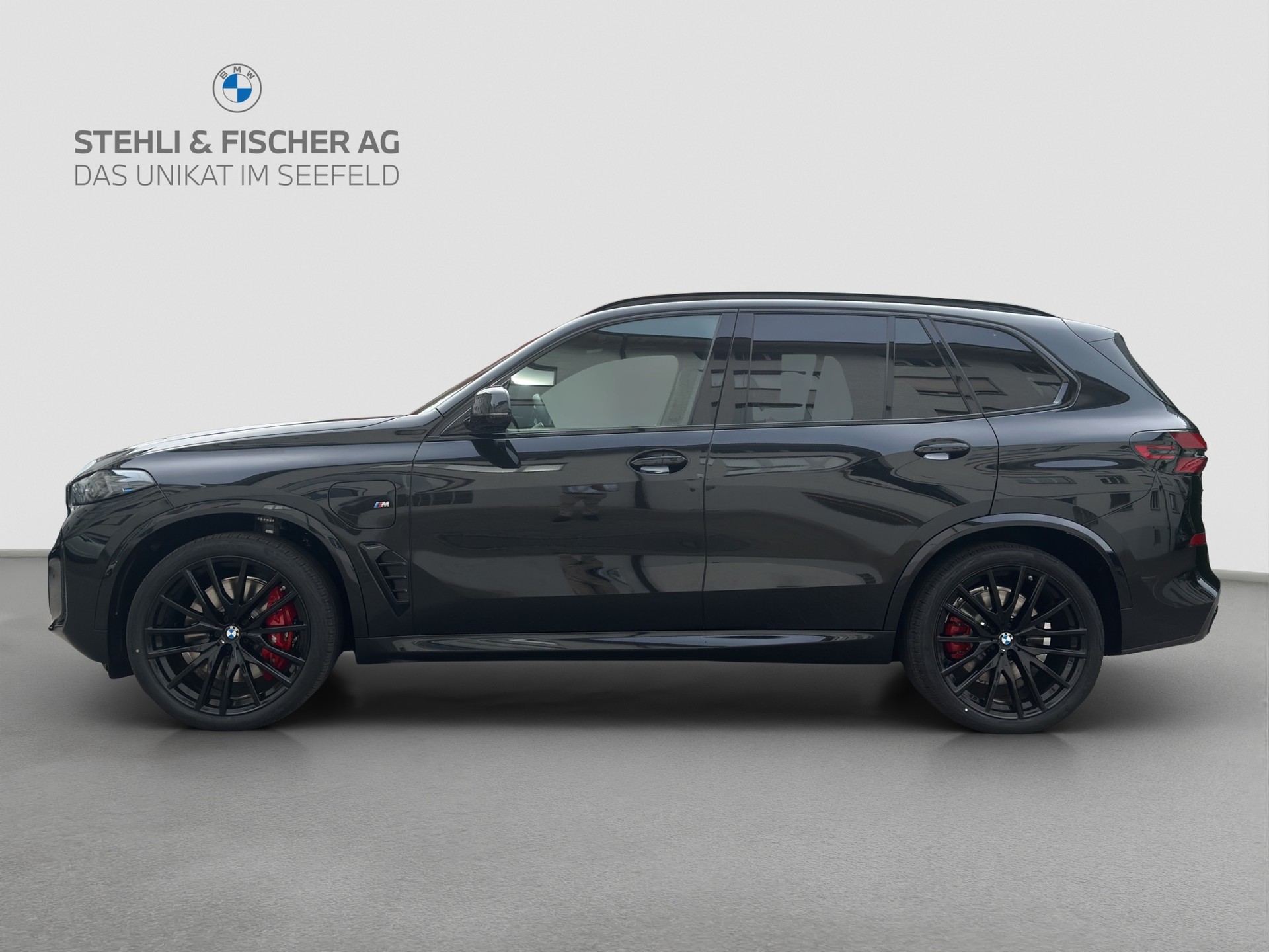 BMW X5 xDrive 50e M Sport Pro Steptronic-showroom-element-2