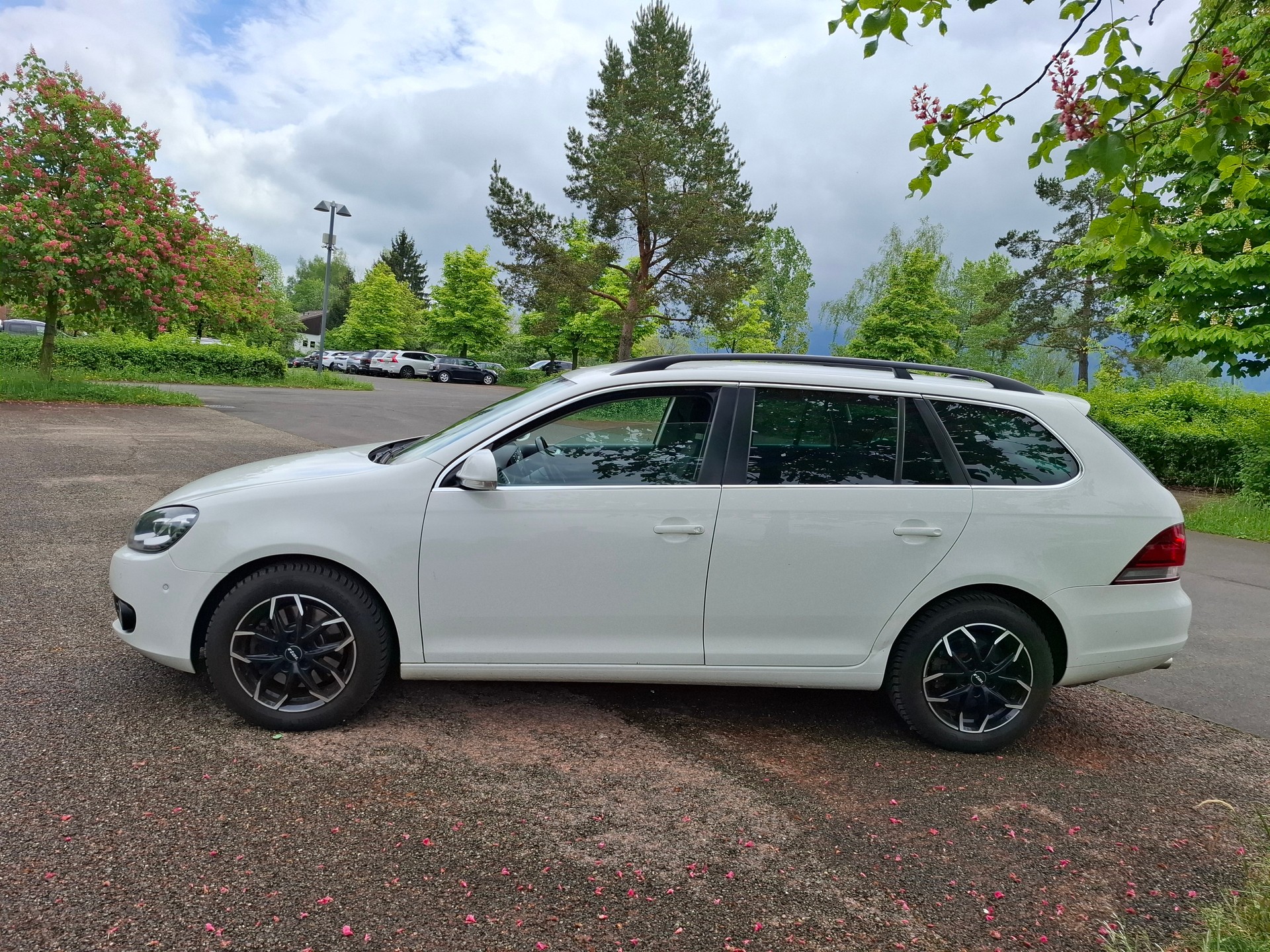 VW Golf Variant 1.6 TDI Team 4Motion-image-5