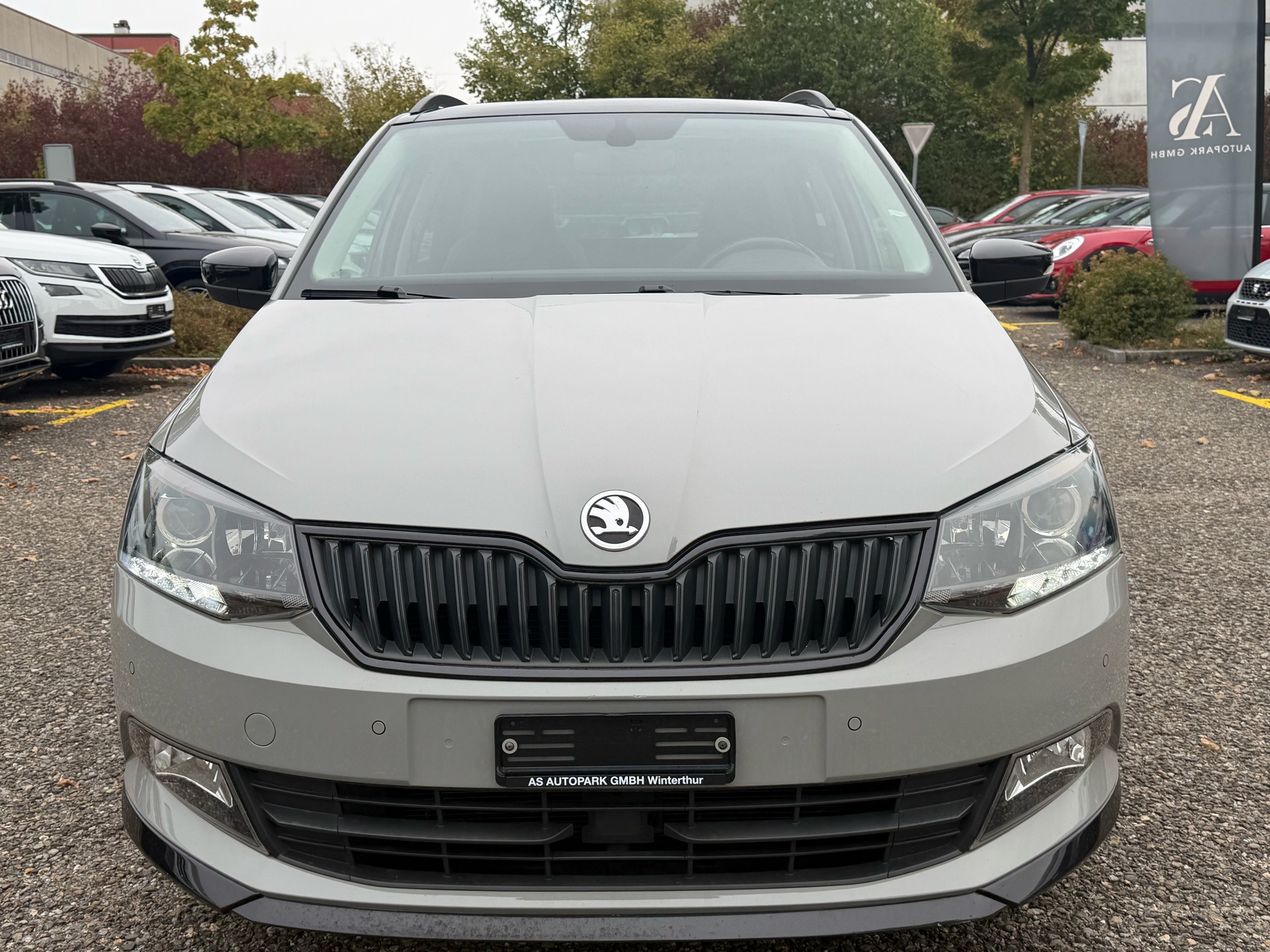 SKODA Fabia 1.0 TSI Monte Carlo-image-1