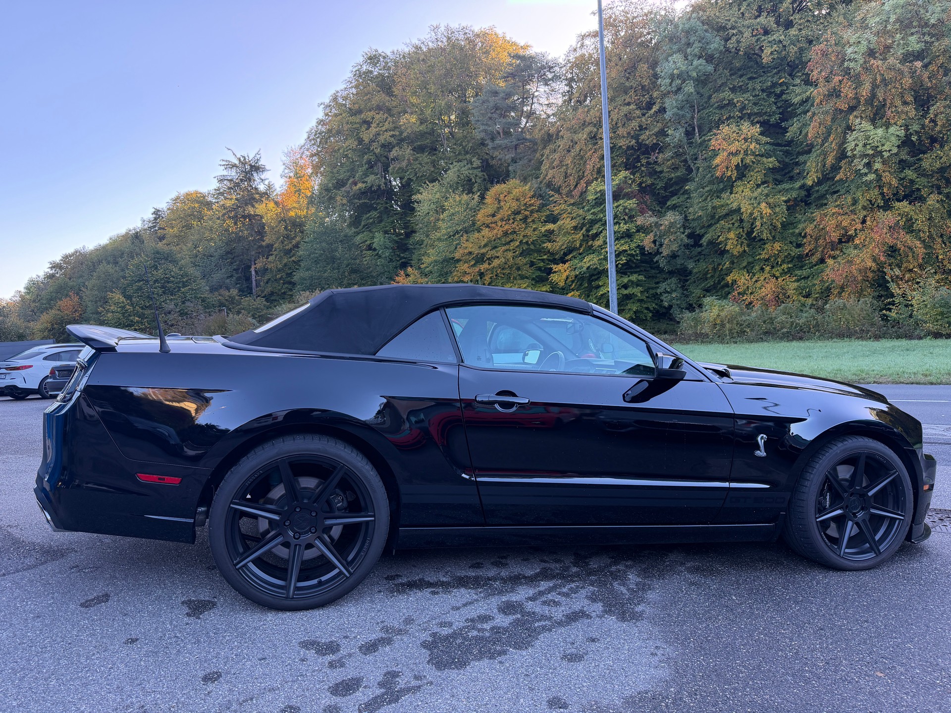 FORD Shelby GT 500-image-8