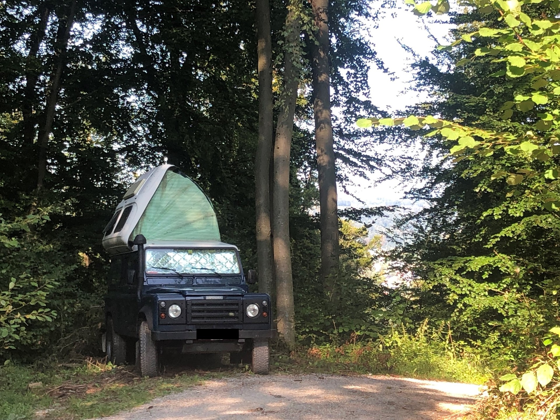 LAND ROVER Defender 110 SW 2.5 Td5-image-0