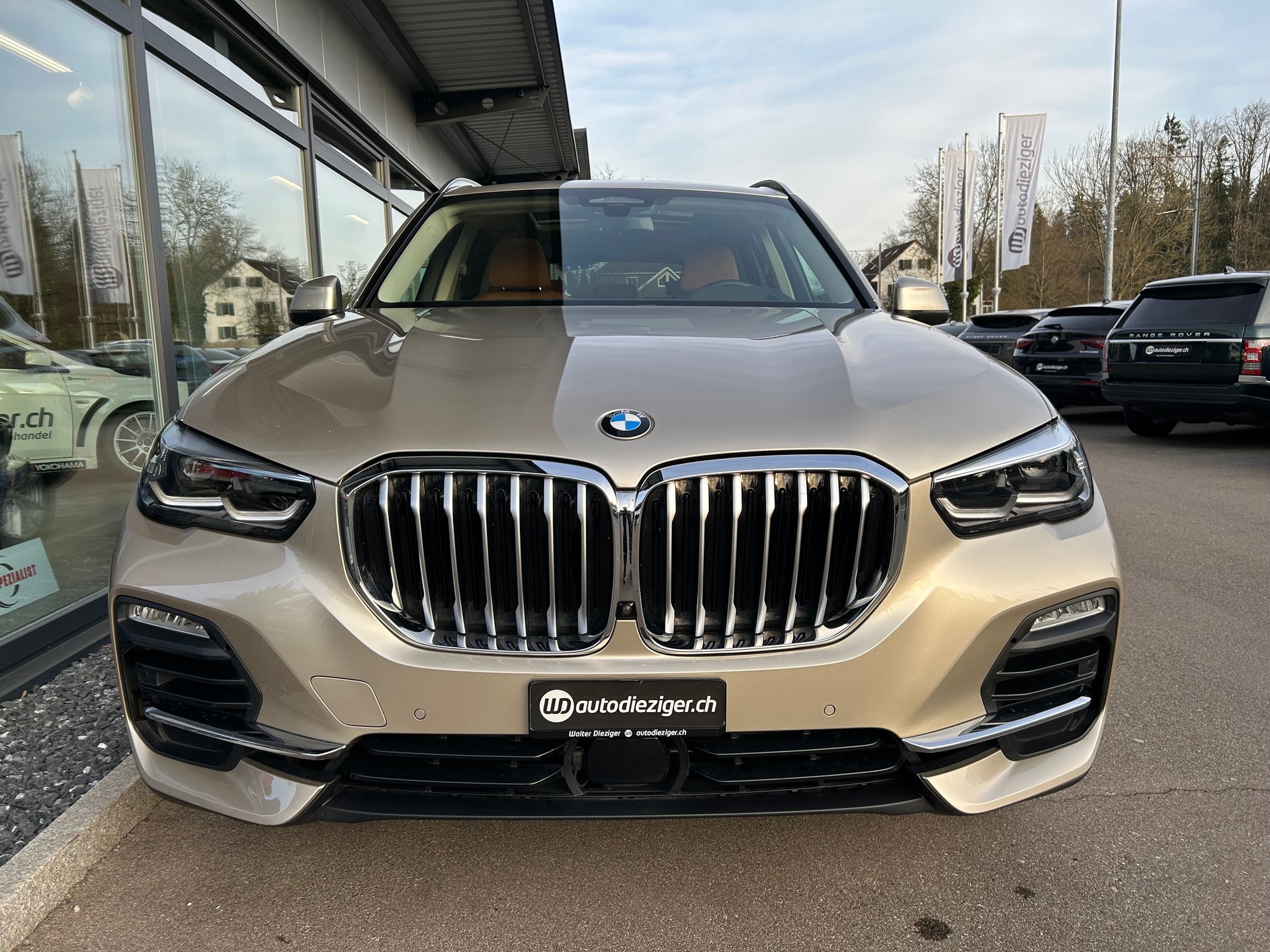 BMW X5 xDrive 40i Steptronic-image-4