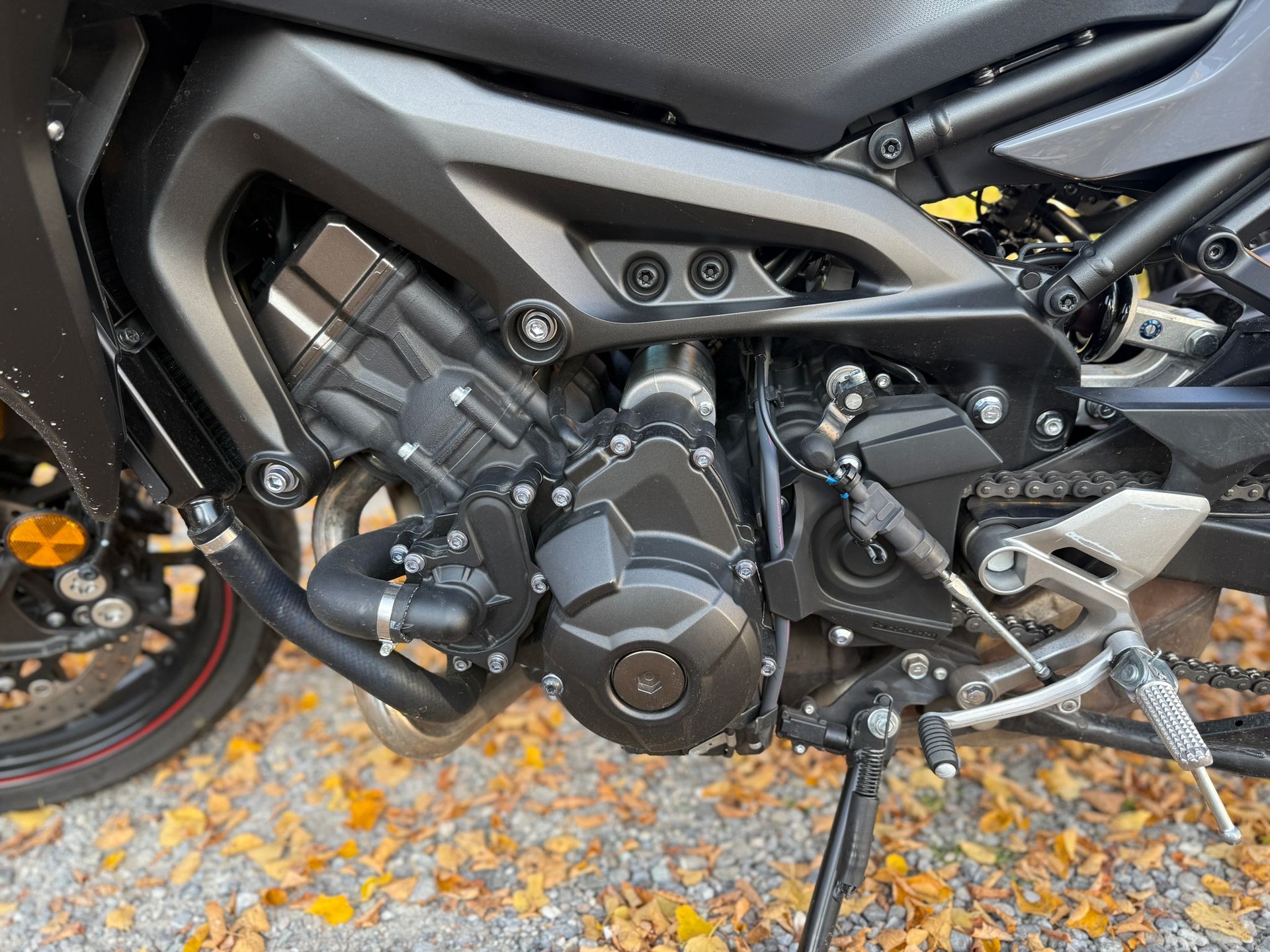 YAMAHA GT-image-2