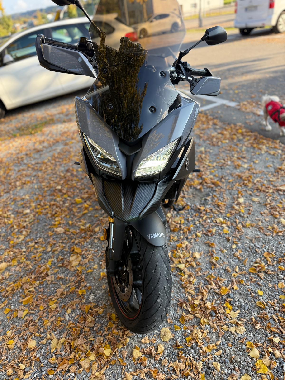 YAMAHA GT-image-4