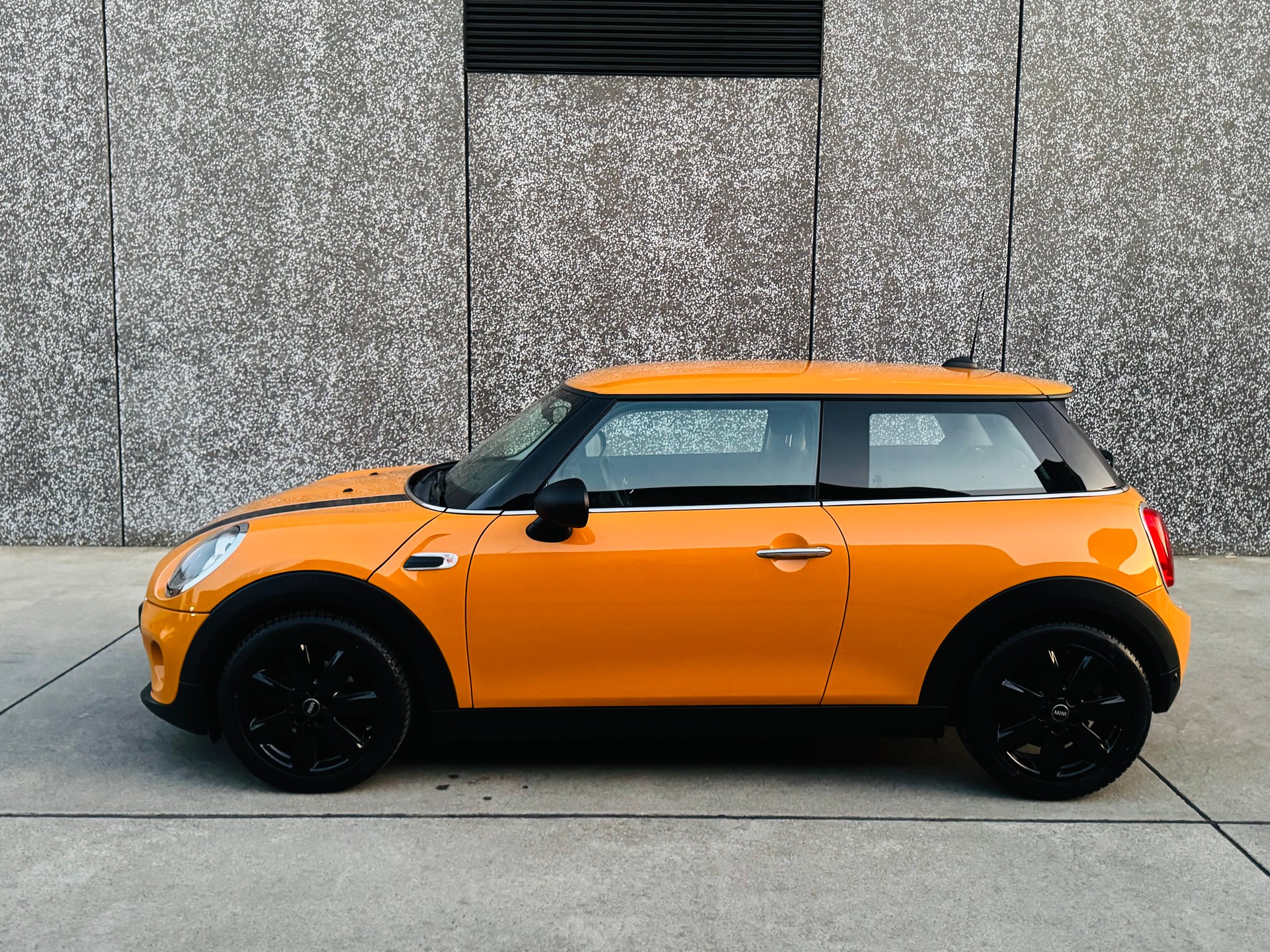 MINI One First-showroom-element-3