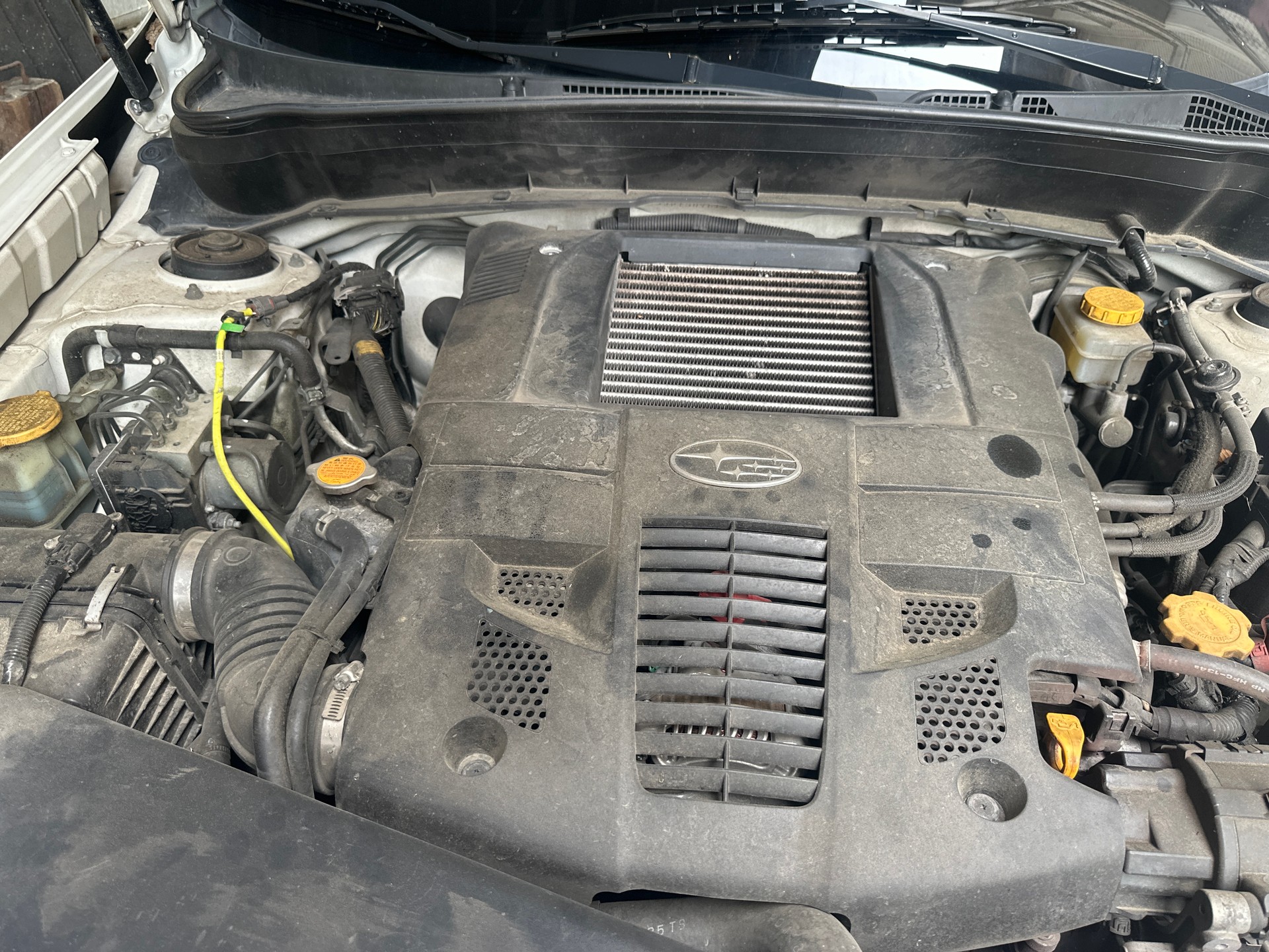 SUBARU Forester 2.5XT Executive-image-9