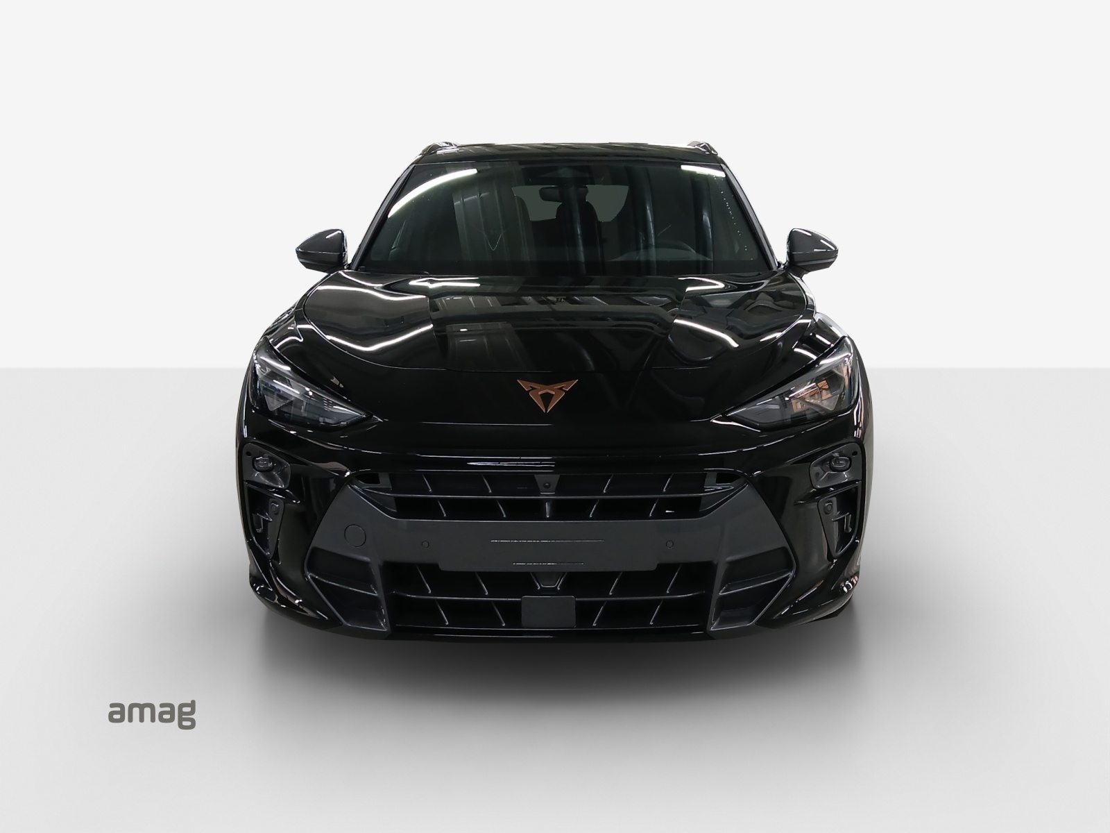 CUPRA Terramar 1.5 eTSI Prime Edition DSG-image-6
