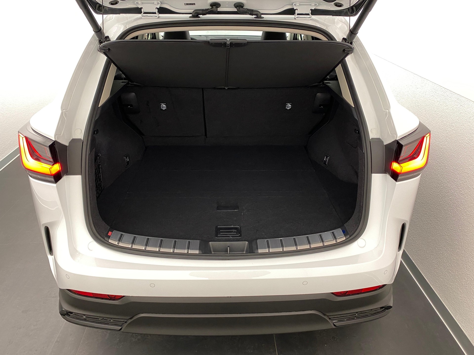 LEXUS NX 450h+ Excellence-image-10