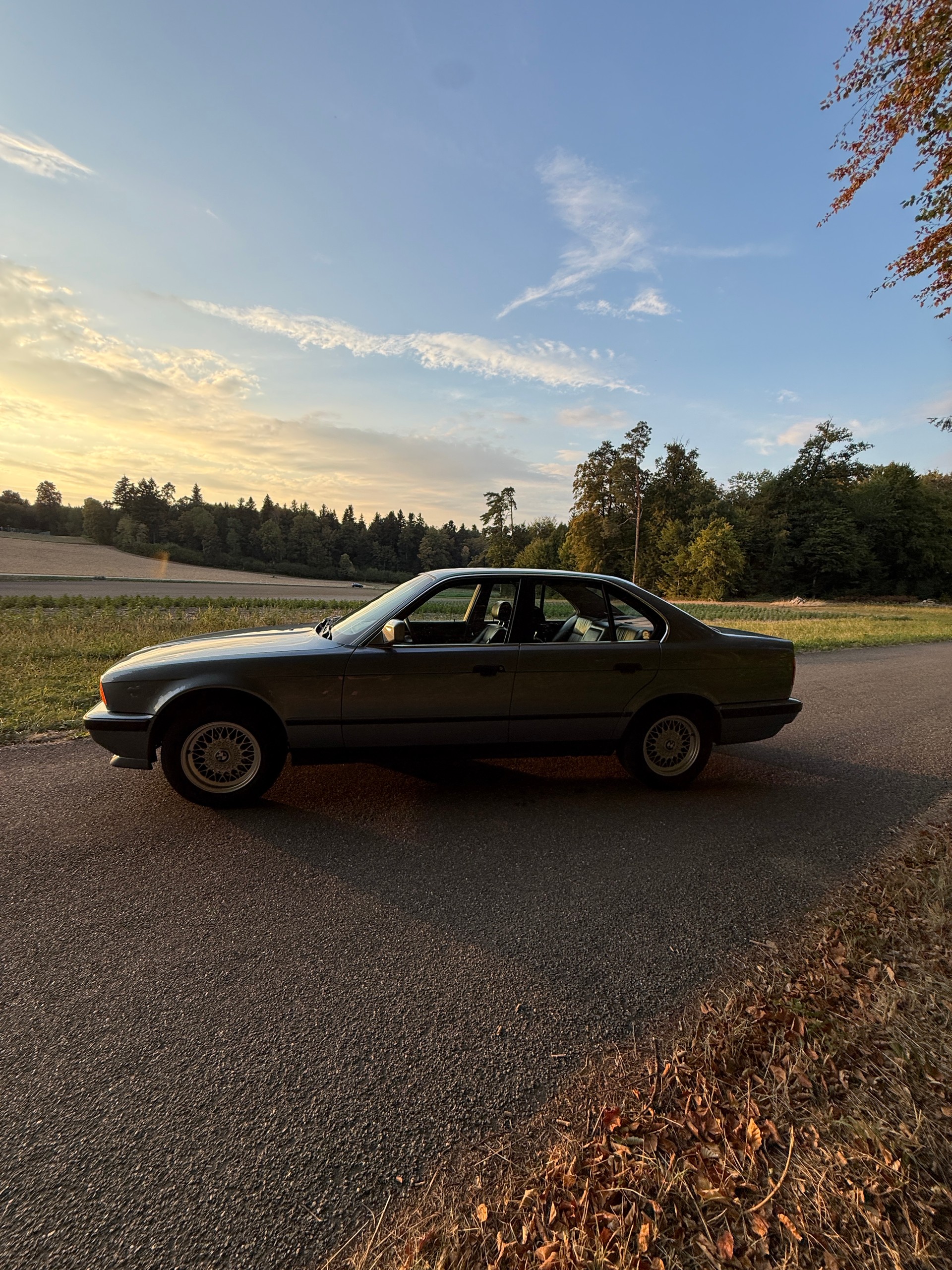 BMW 525-image-3