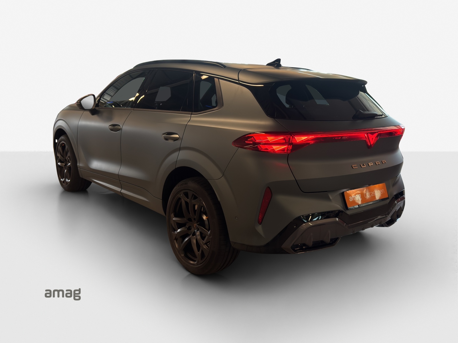 CUPRA Terramar 2.0 TSI DSG 4Drive Americas CUP-image-2