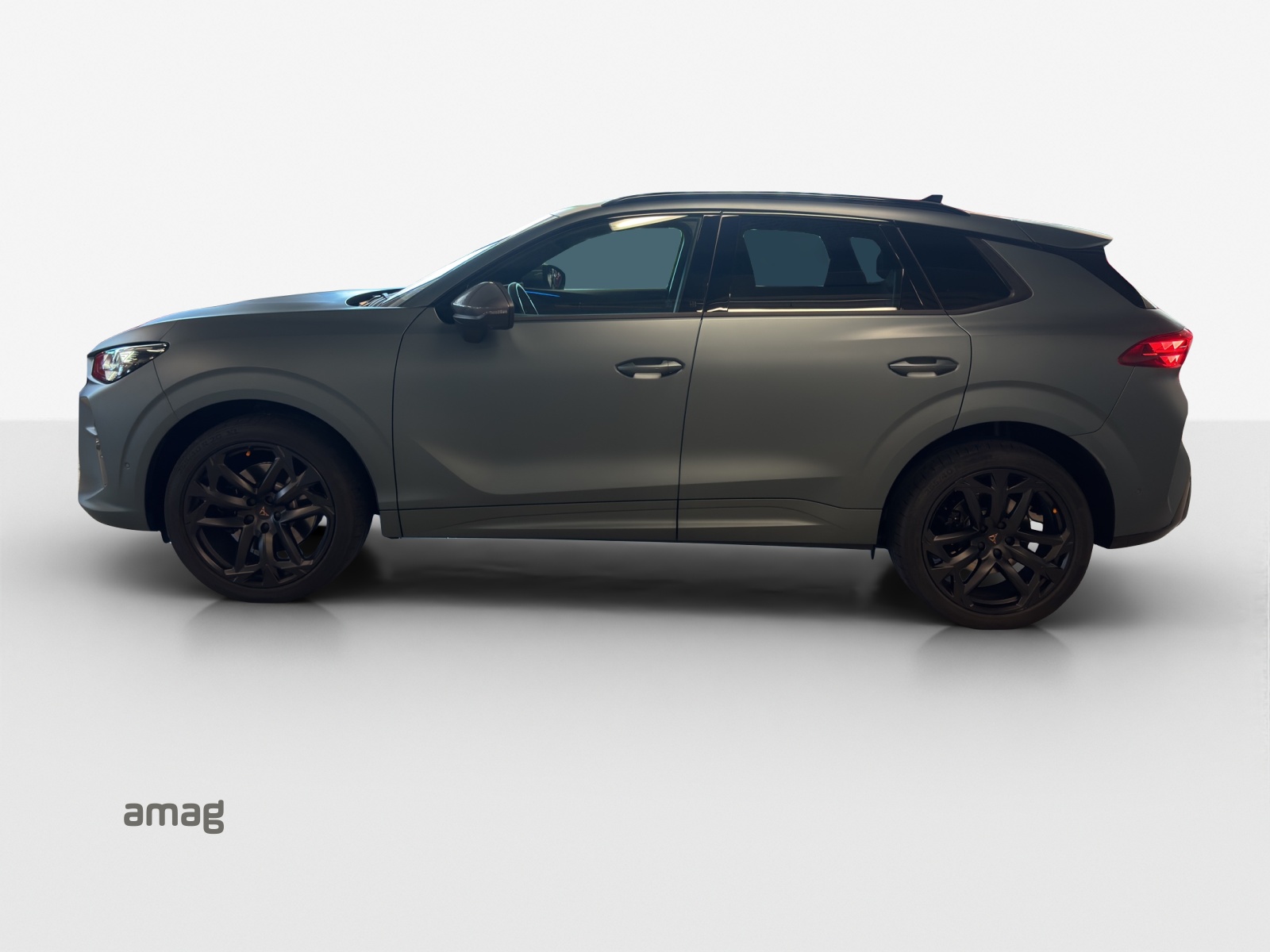 CUPRA Terramar 2.0 TSI DSG 4Drive Americas CUP-image-1