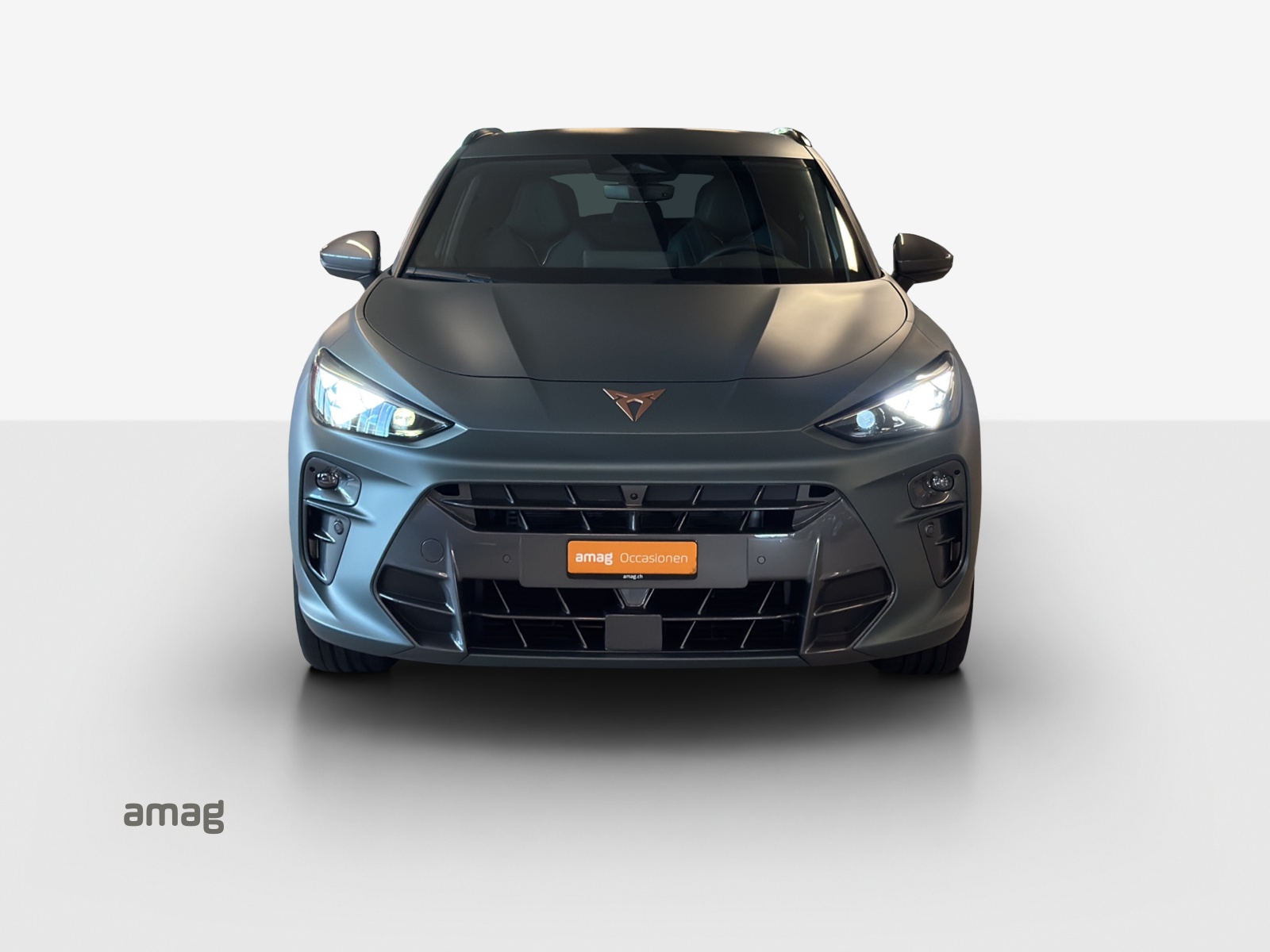 CUPRA Terramar 2.0 TSI DSG 4Drive Americas CUP-image-6