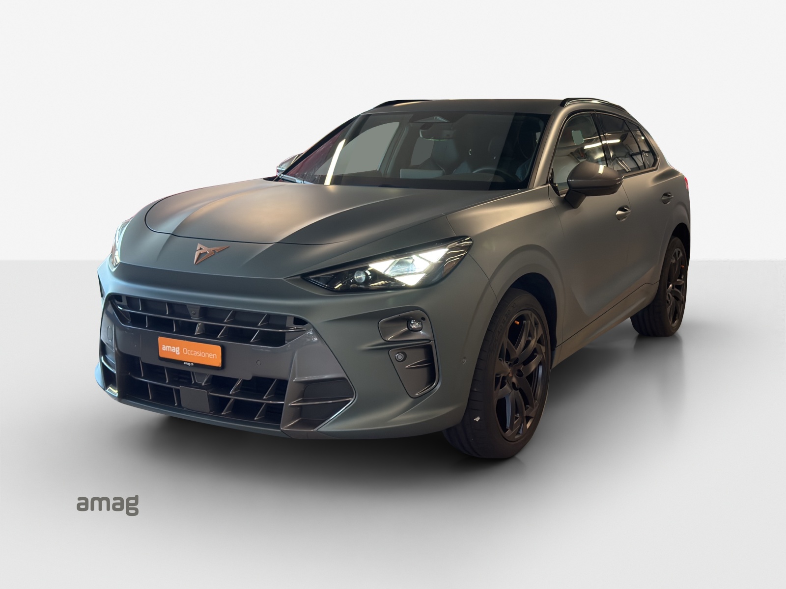 CUPRA Terramar 2.0 TSI DSG 4Drive Americas CUP-image-0