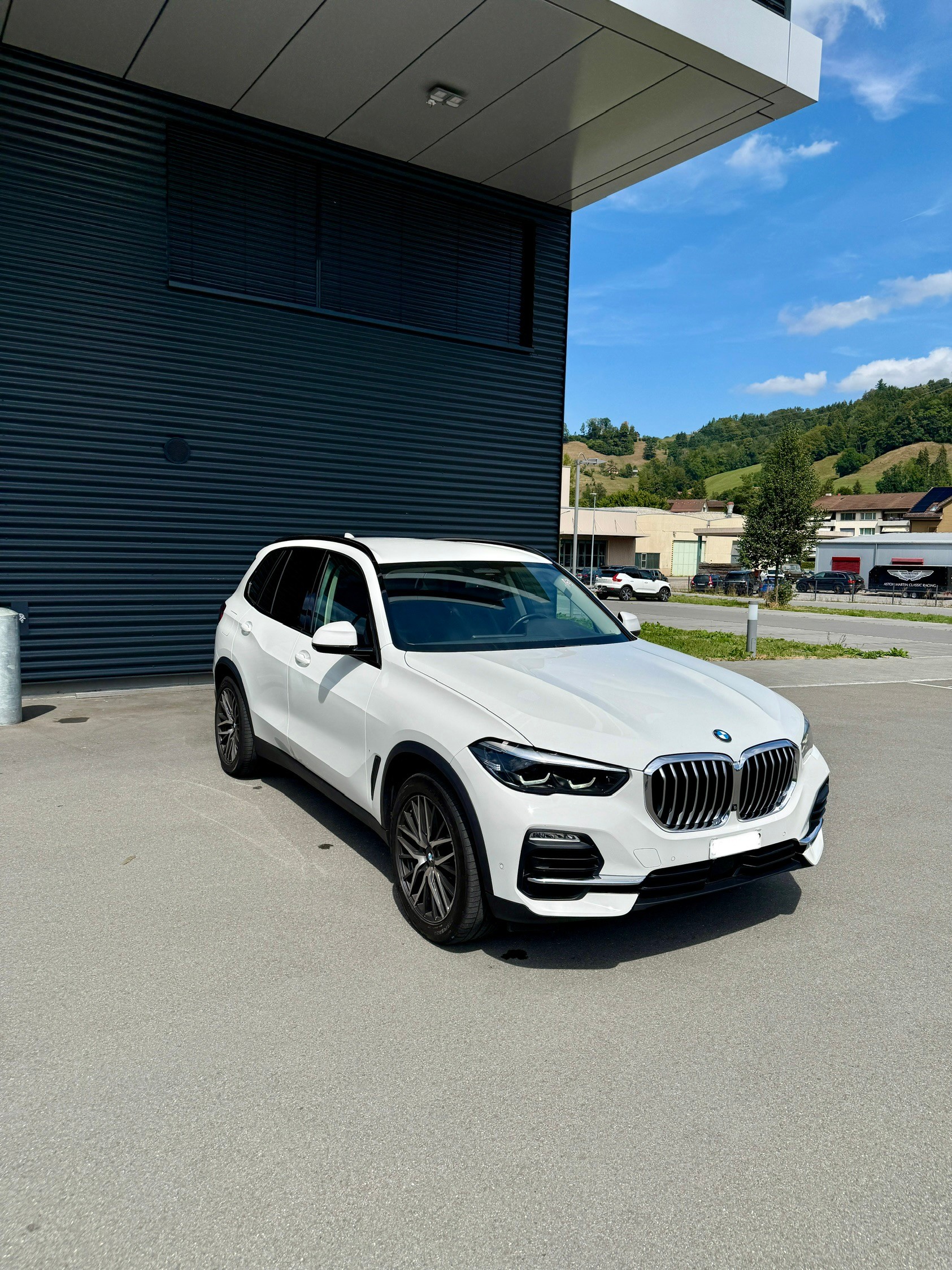 BMW X5 xDrive 30d Steptronic-image-2