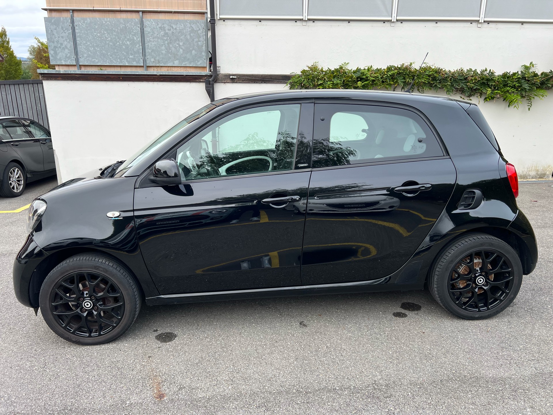 SMART 1.0 71 Passion-image-5
