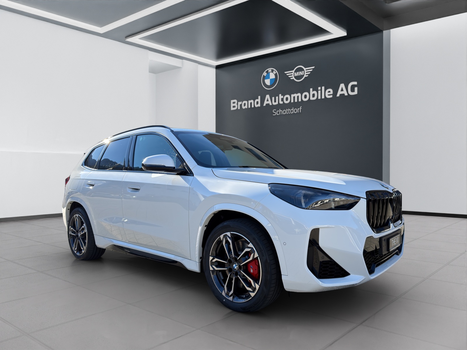 BMW X1 23i xDrive-image-6