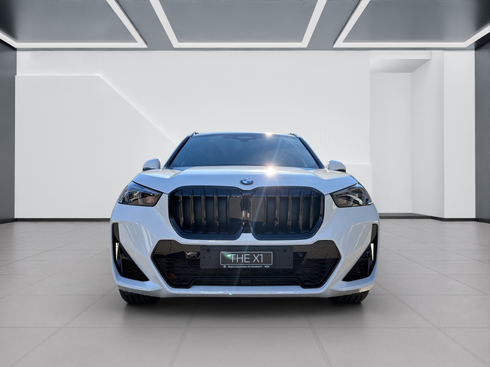 BMW X1 23i xDrive-image-7