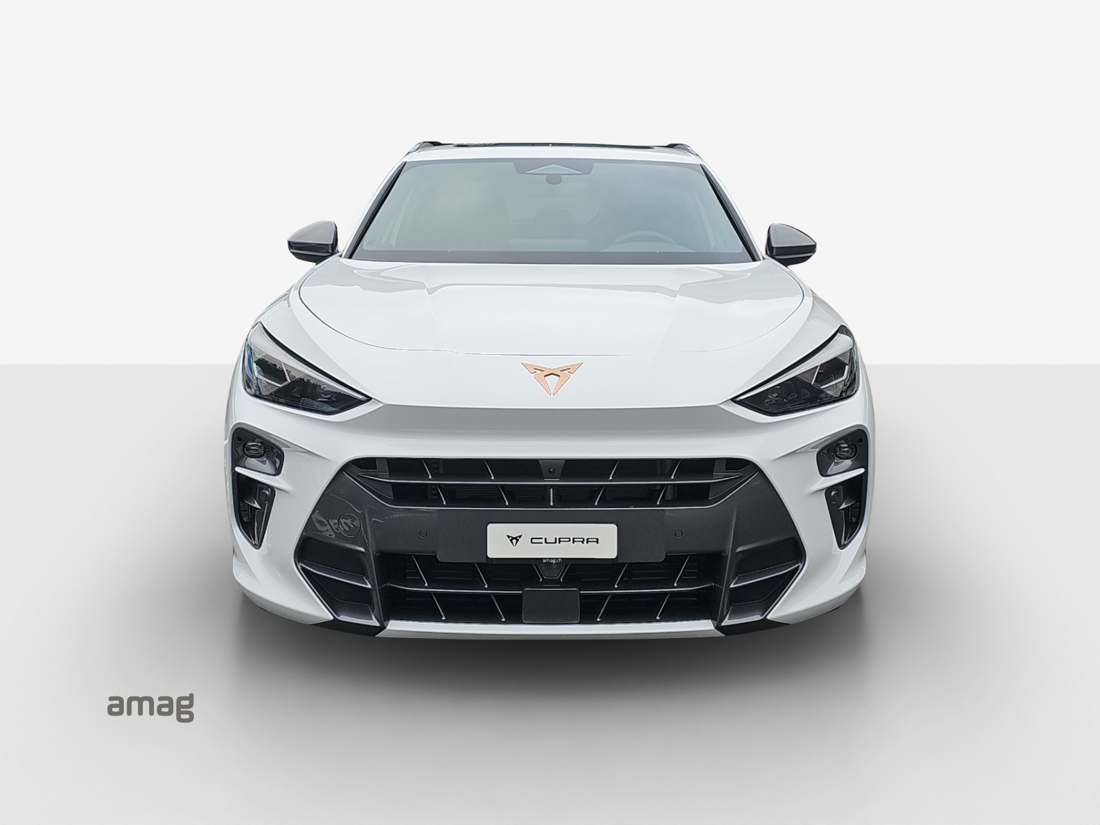 CUPRA Terramar 2.0 TSI DSG 4Drive VZ-image-6