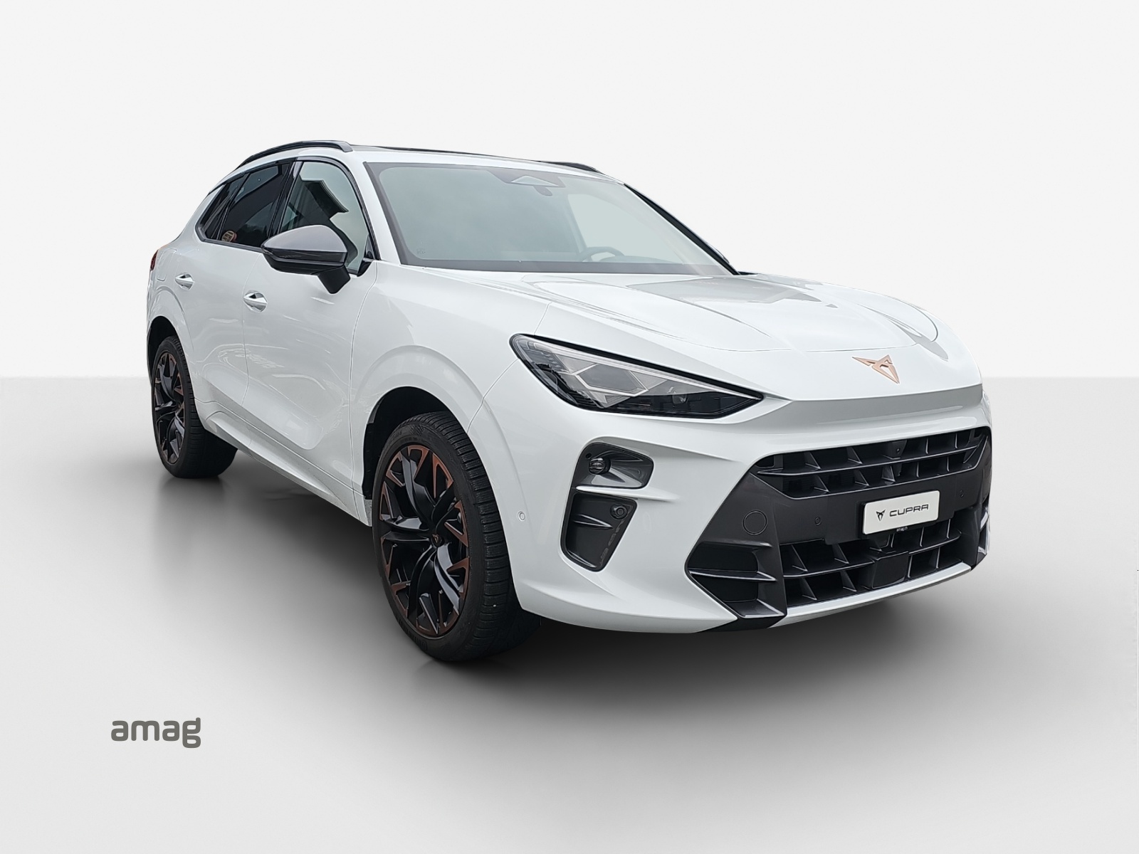 CUPRA Terramar 2.0 TSI DSG 4Drive VZ-image-5