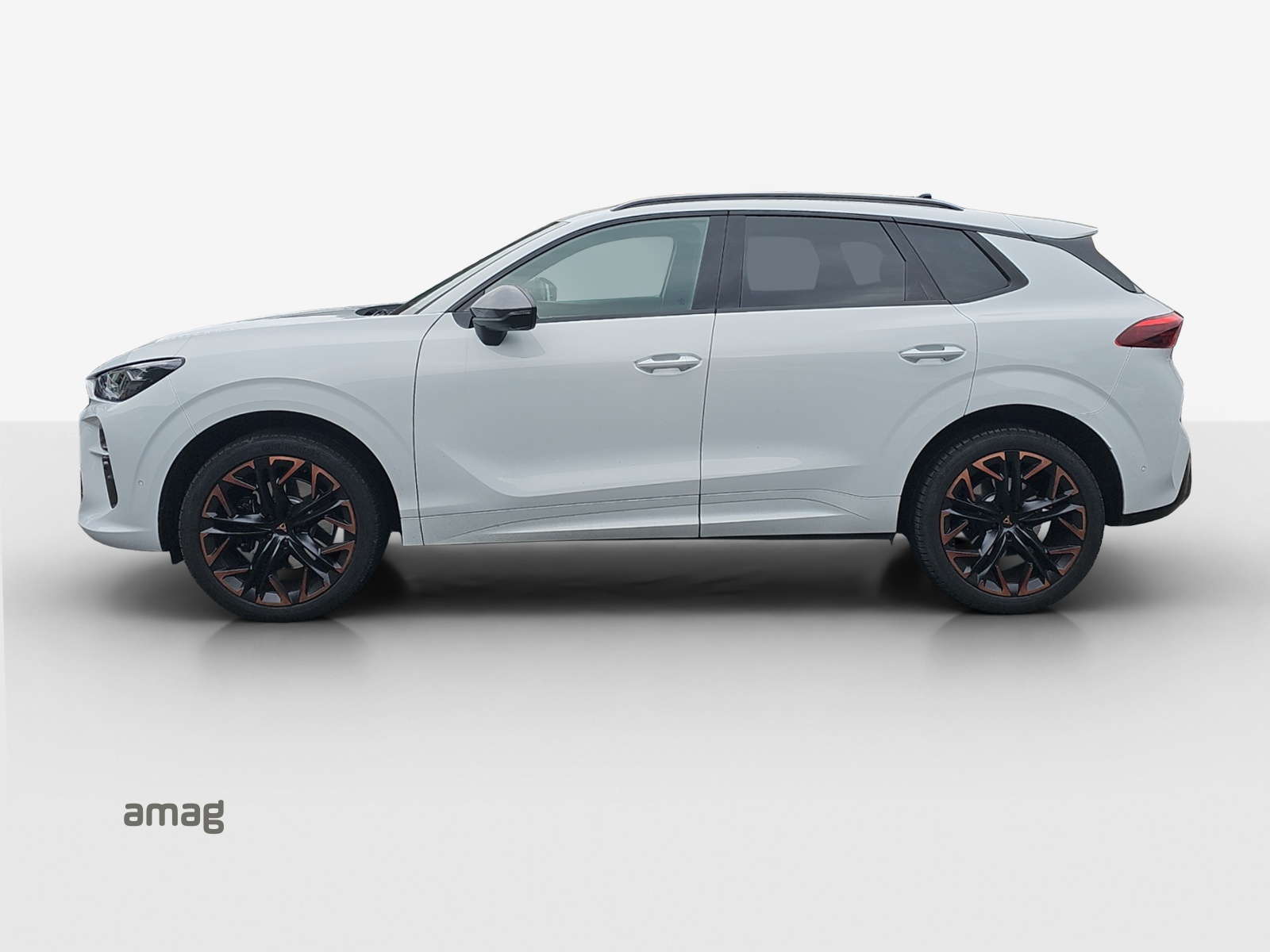 CUPRA Terramar 2.0 TSI DSG 4Drive VZ-image-1