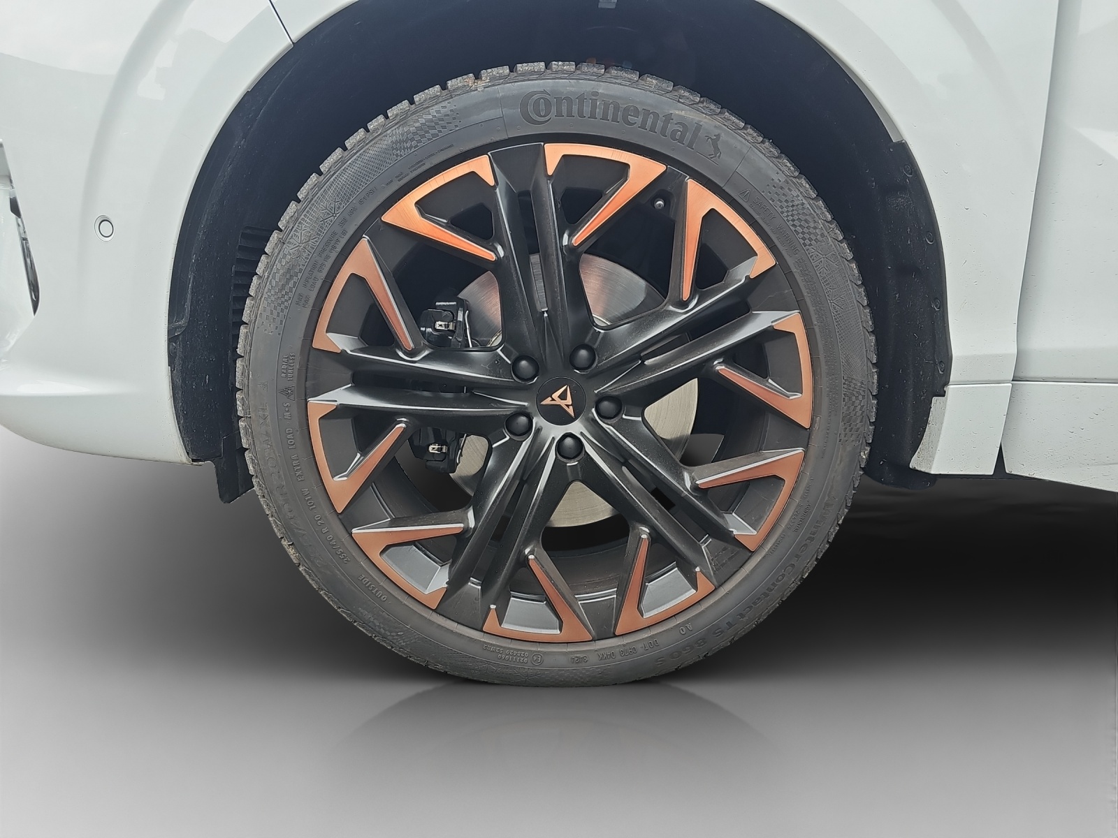 CUPRA Terramar 2.0 TSI DSG 4Drive VZ-image-13
