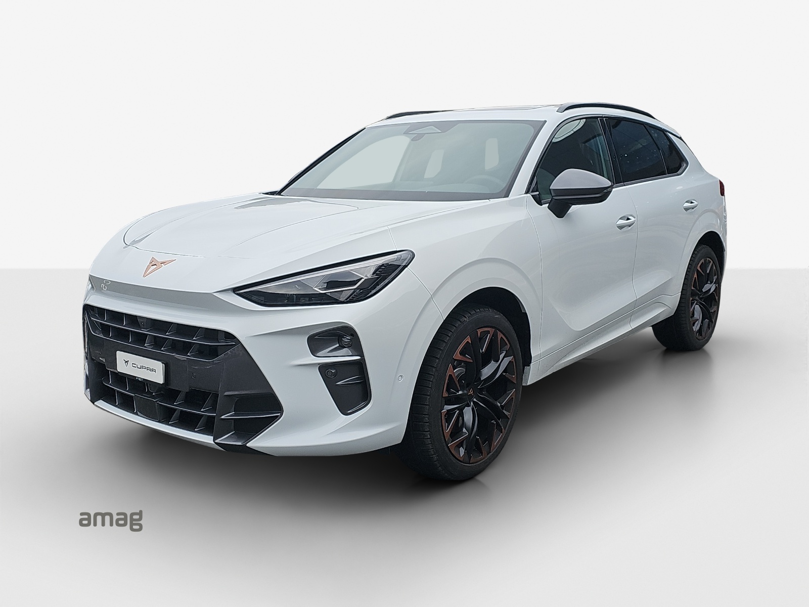 CUPRA Terramar 2.0 TSI DSG 4Drive VZ-image-0