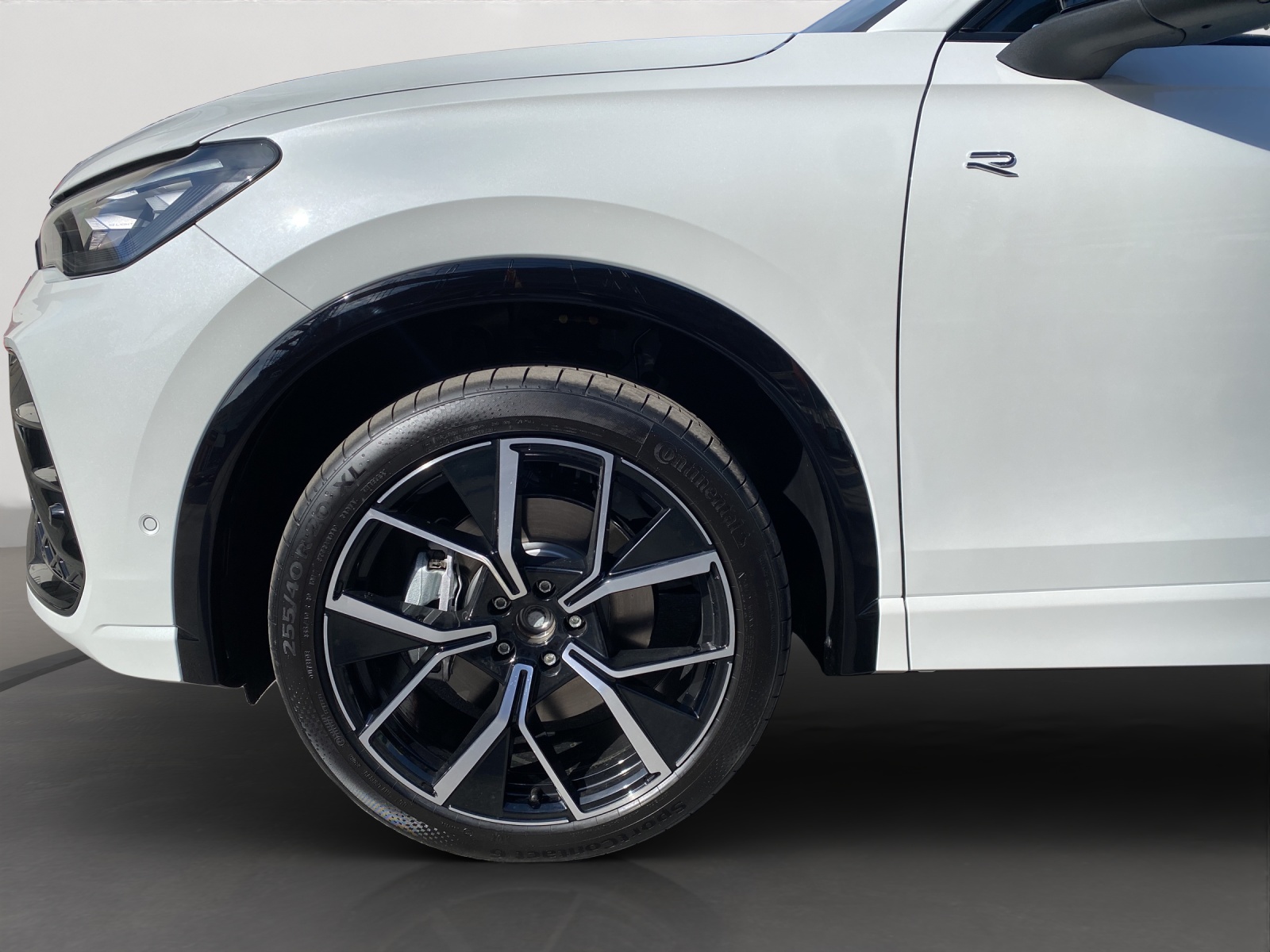 VW Tiguan 2.0 TSI DSG R-Line Plus 4Motion-image-19