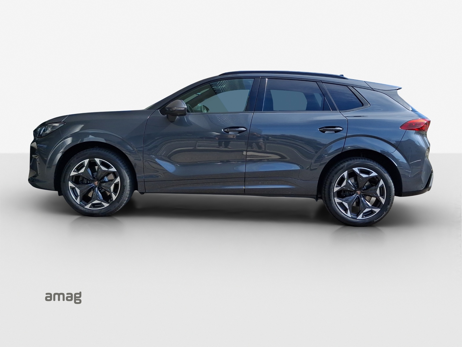 CUPRA Terramar 2.0 TSI DSG 4Drive VZ-image-1