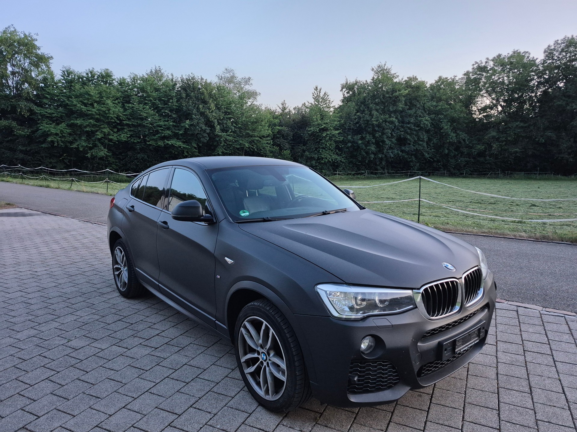 BMW X4 xDrive 20d M Sport-image-2