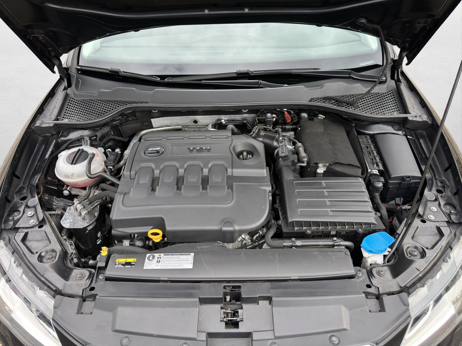 SEAT Leon ST 1.6 TDI Style 4Drive-image-15
