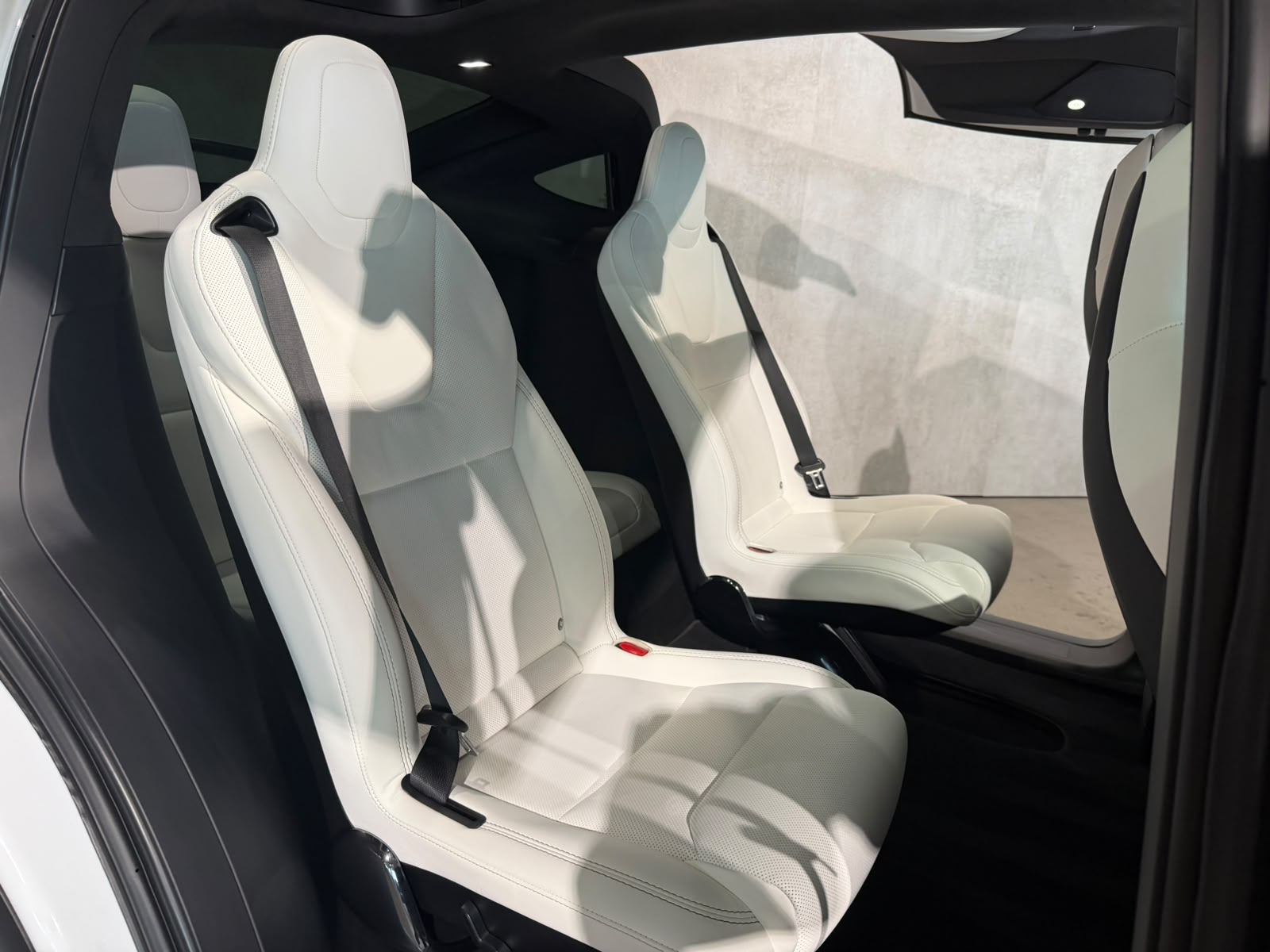 TESLA Model X Ludicrous Performance-image-8