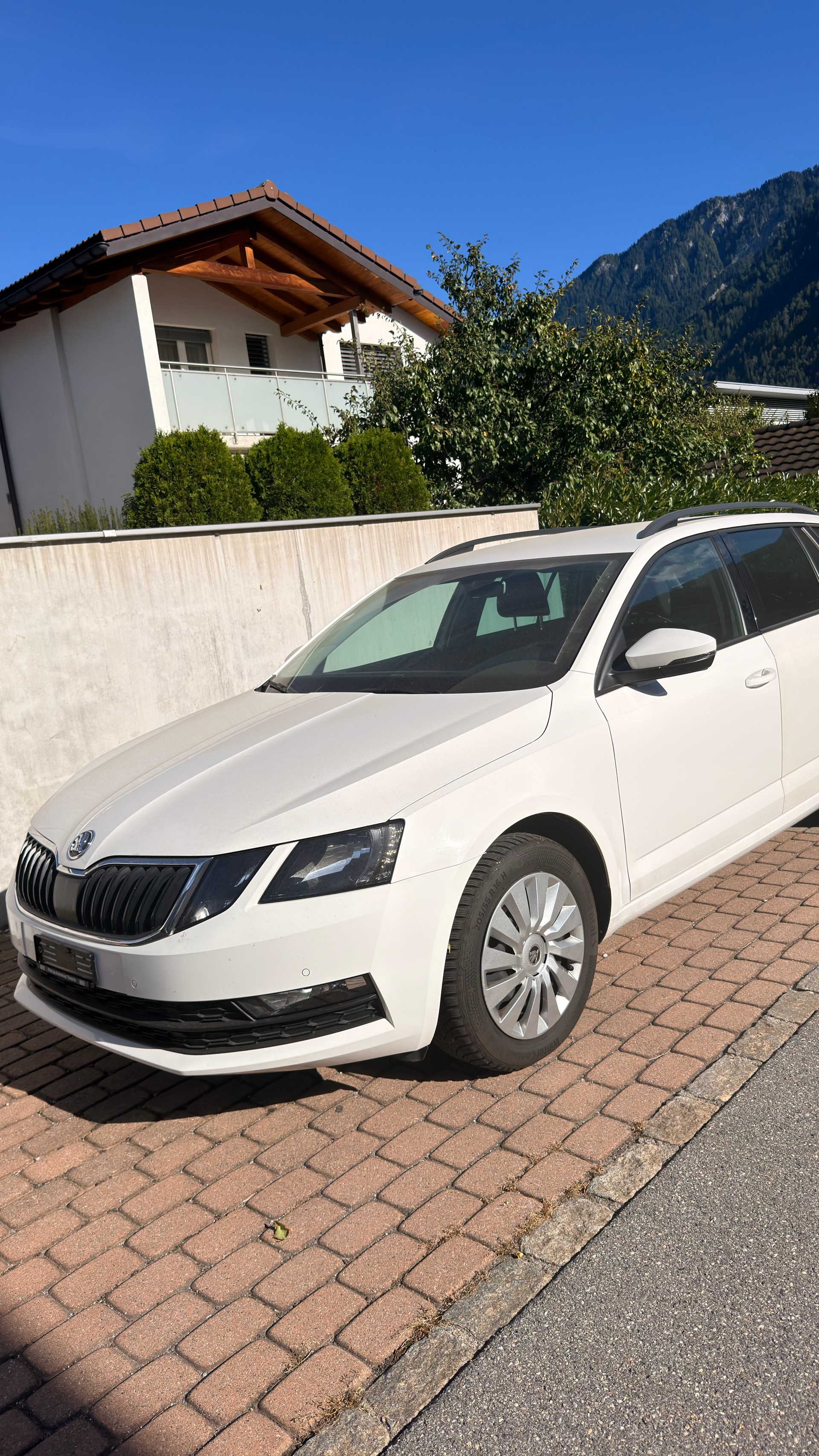 SKODA 2.0 TSI Ambition 4x4 DSG-image-1