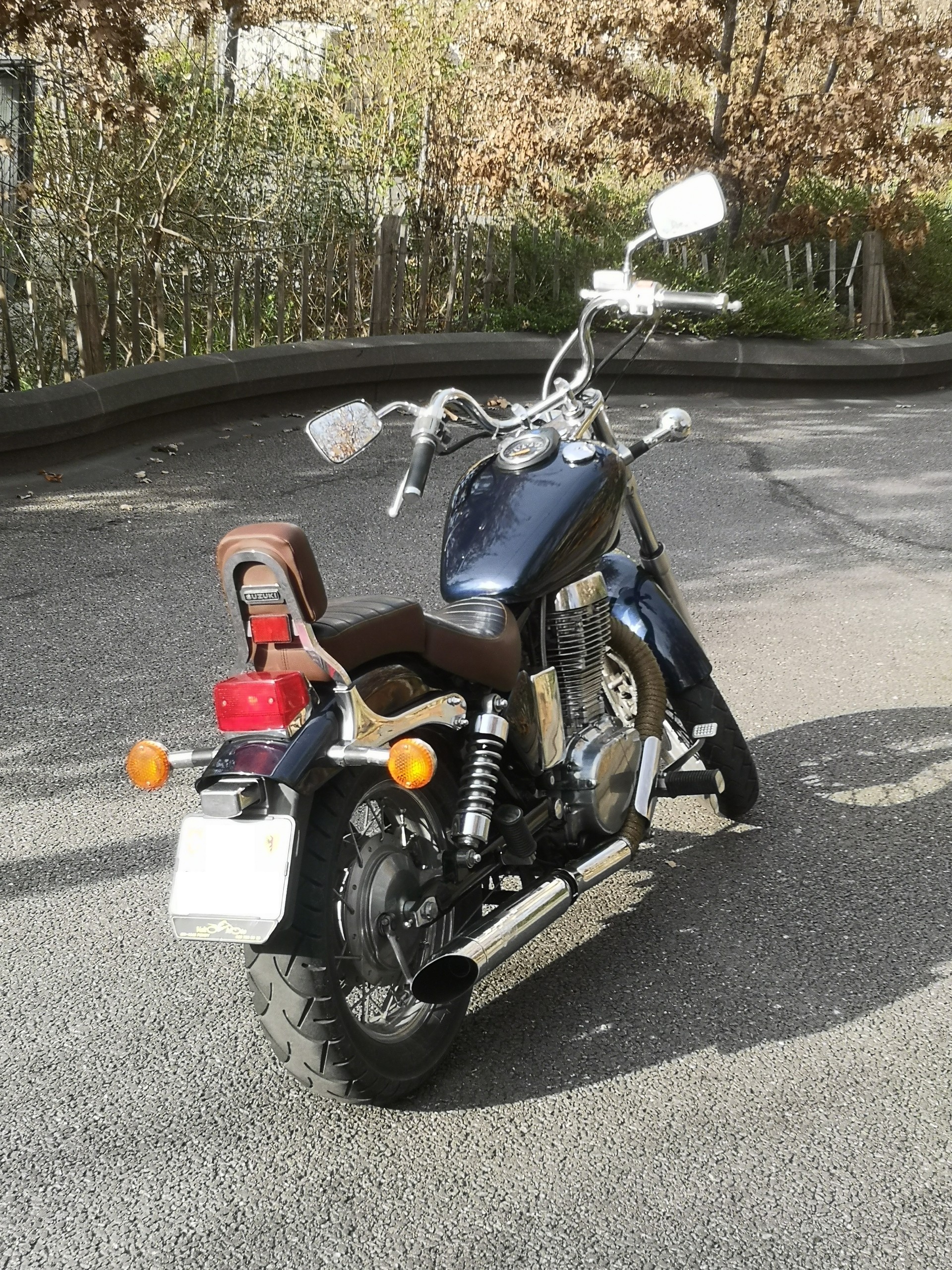 SUZUKI LS 650 P Savage-image-5