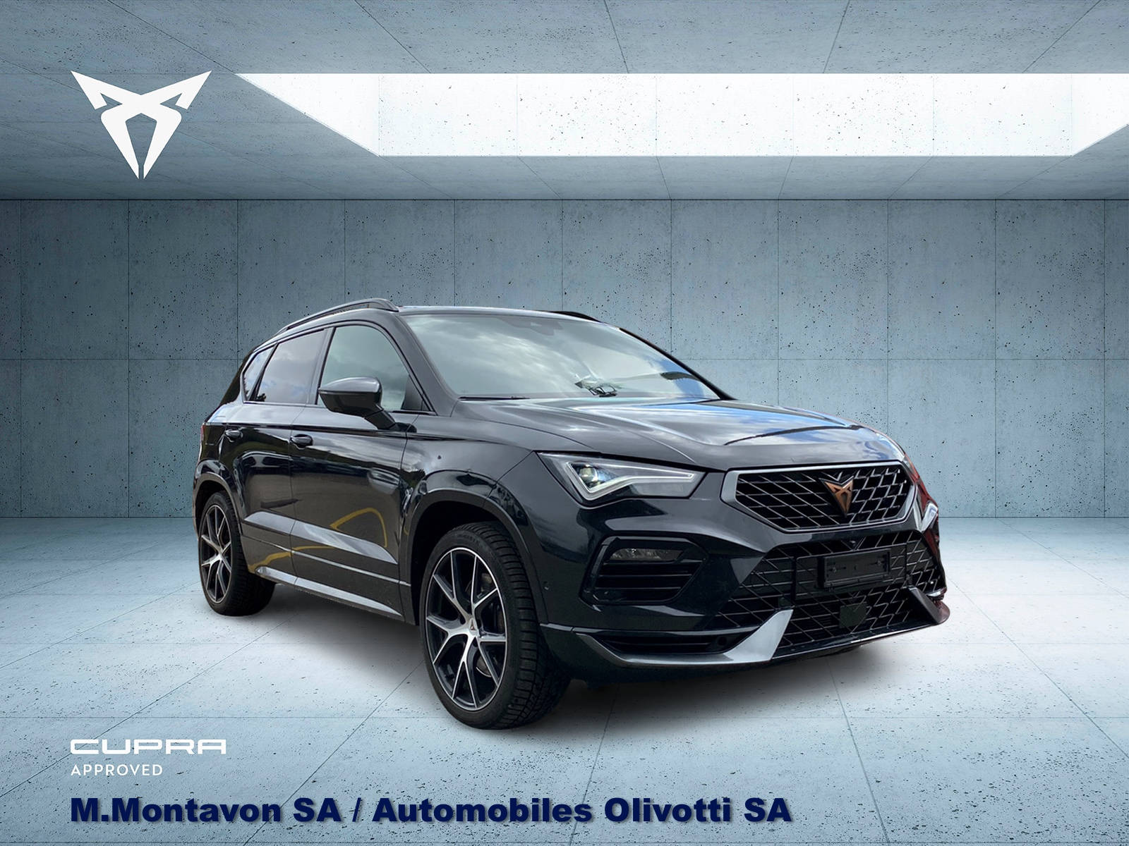 CUPRA Ateca 2.0TSI 4Drive DSG-image-1