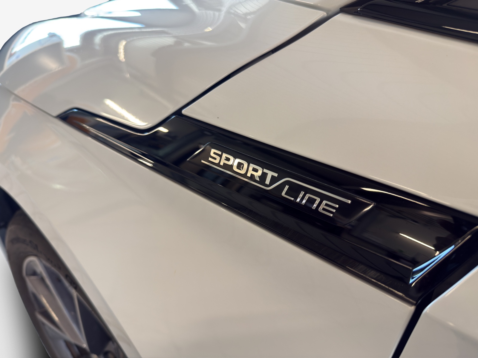 SKODA Enyaq iV 80 SportLine-image-13