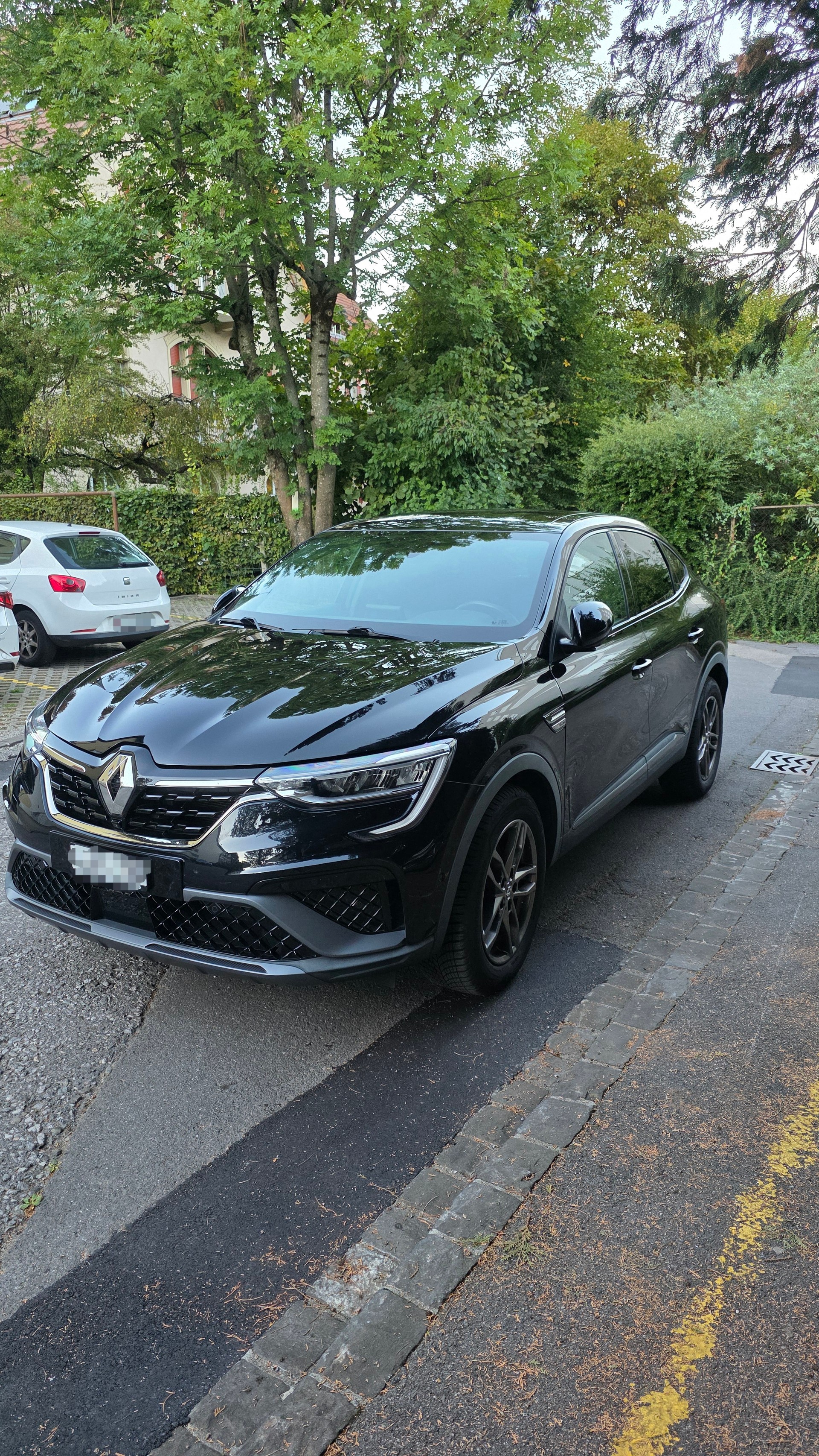 RENAULT 1.6 E-Tech R.S. Line-image-3