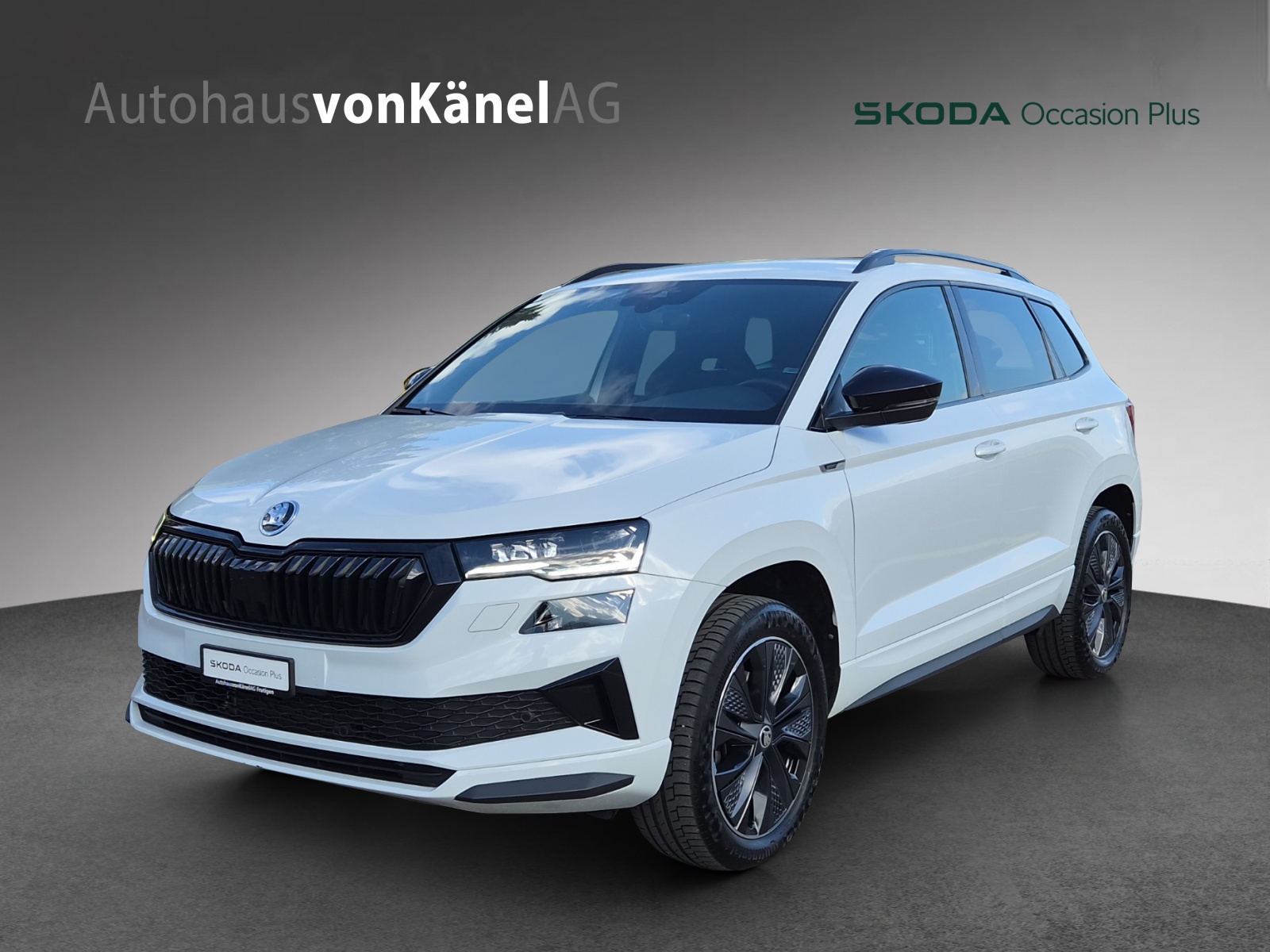 SKODA Karoq 2.0 TDI CR Sport Line 4x4 DSG-image-0