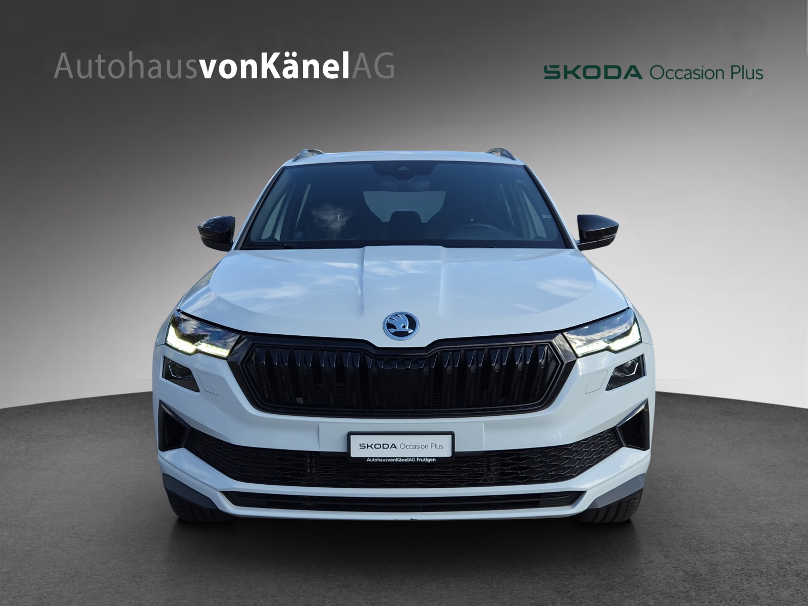 SKODA Karoq 2.0 TDI CR Sport Line 4x4 DSG-image-3