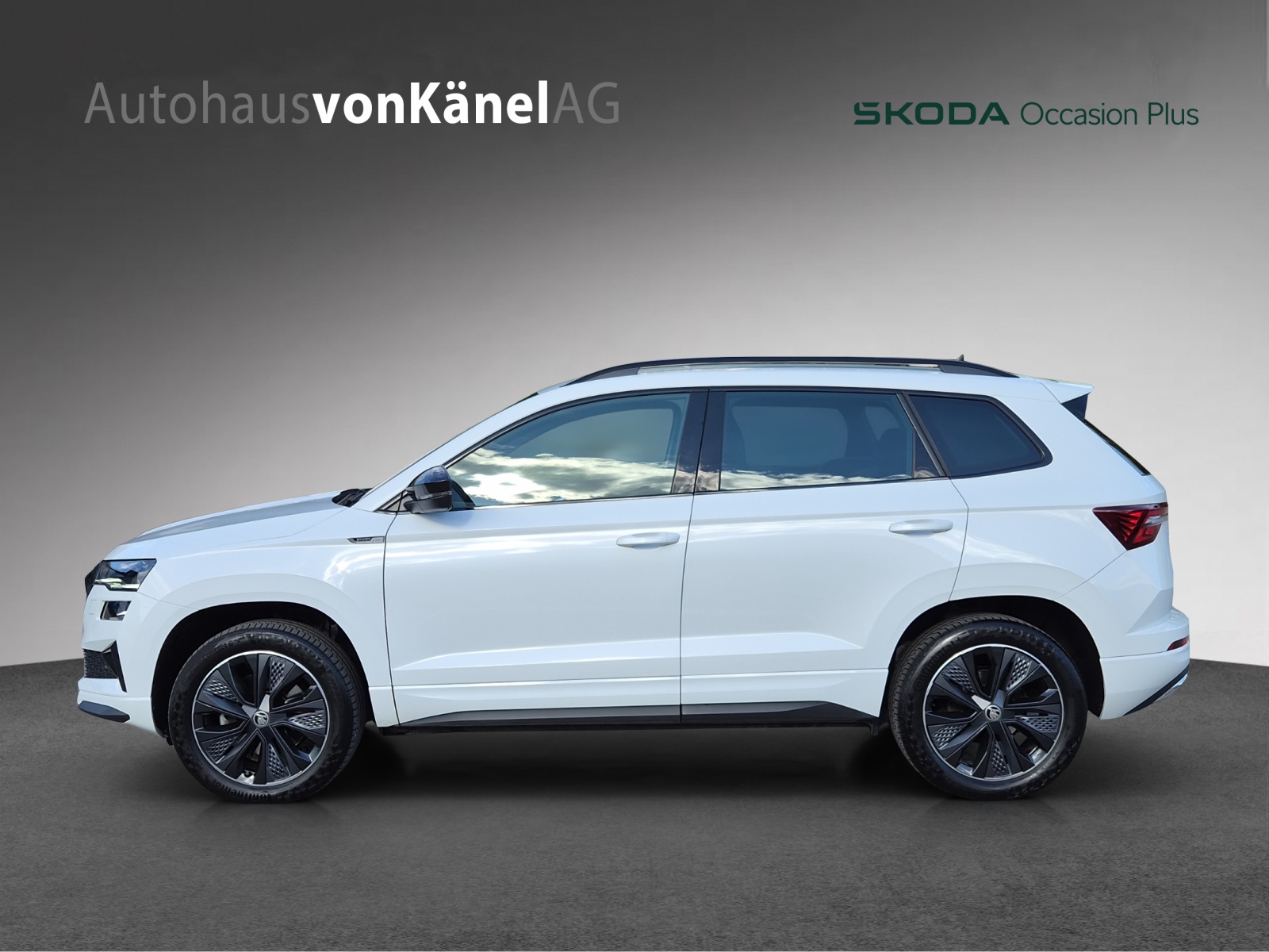SKODA Karoq 2.0 TDI CR Sport Line 4x4 DSG-image-1