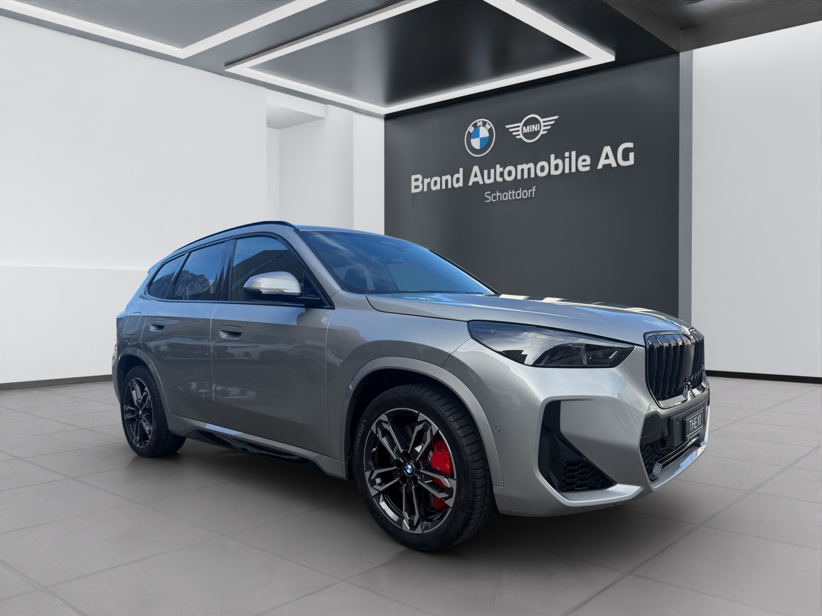 BMW X1 23i xDrive-image-6