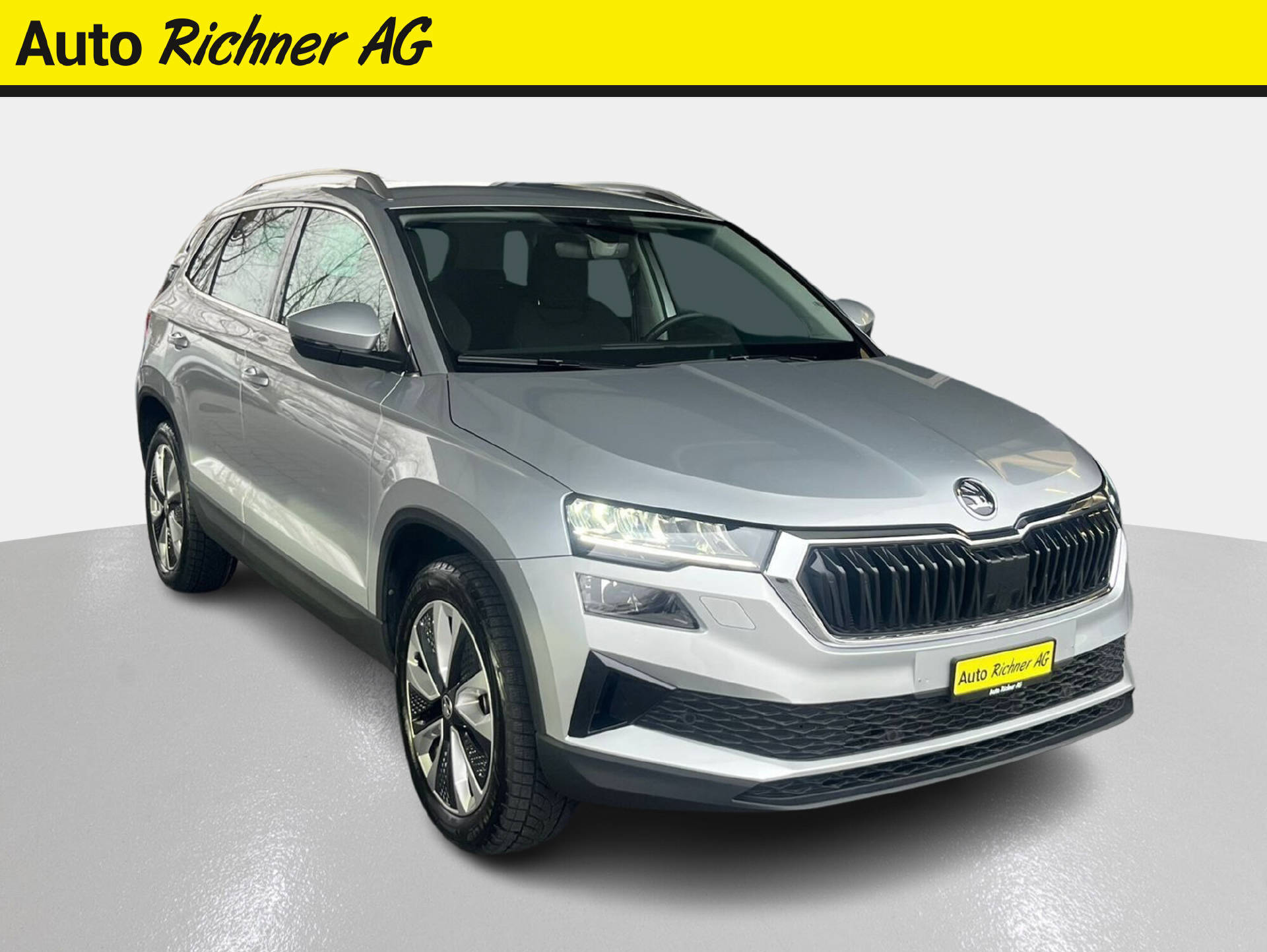 SKODA Karoq 1.5 TSI Selection DSG-image-0