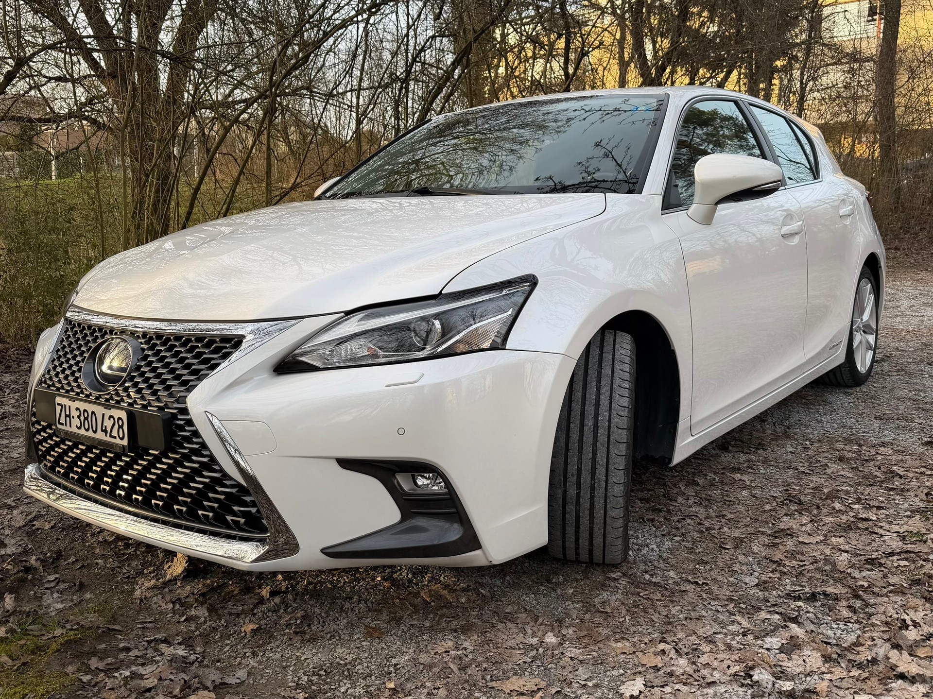 LEXUS CT 200h 1.8 excellence CVT-image-2
