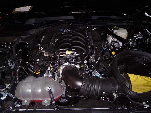 FORD Mustang Coupé 5.0 V8 Bullitt-image-11