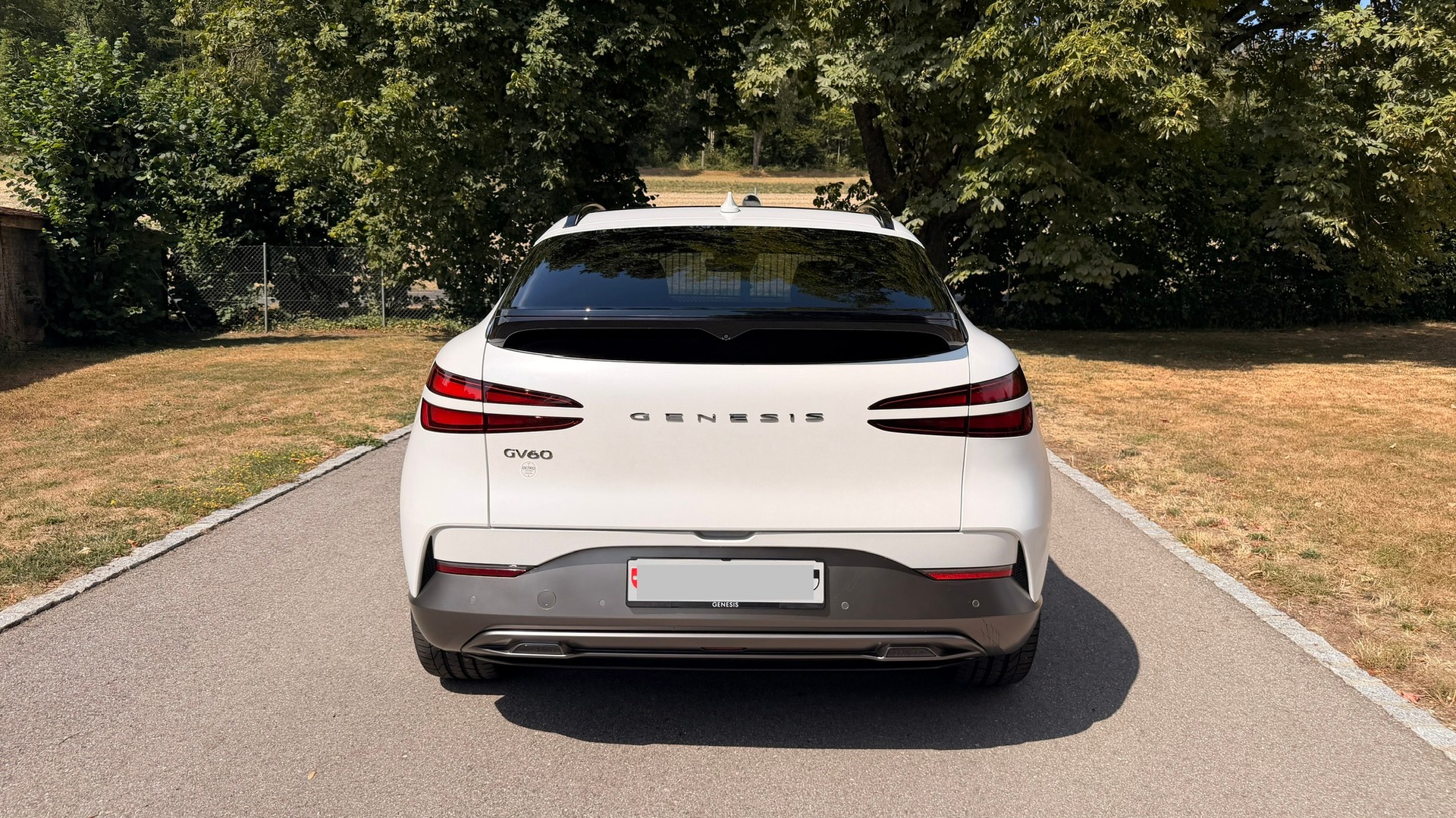 GENESIS Dual Motor Sport AWD-image-2